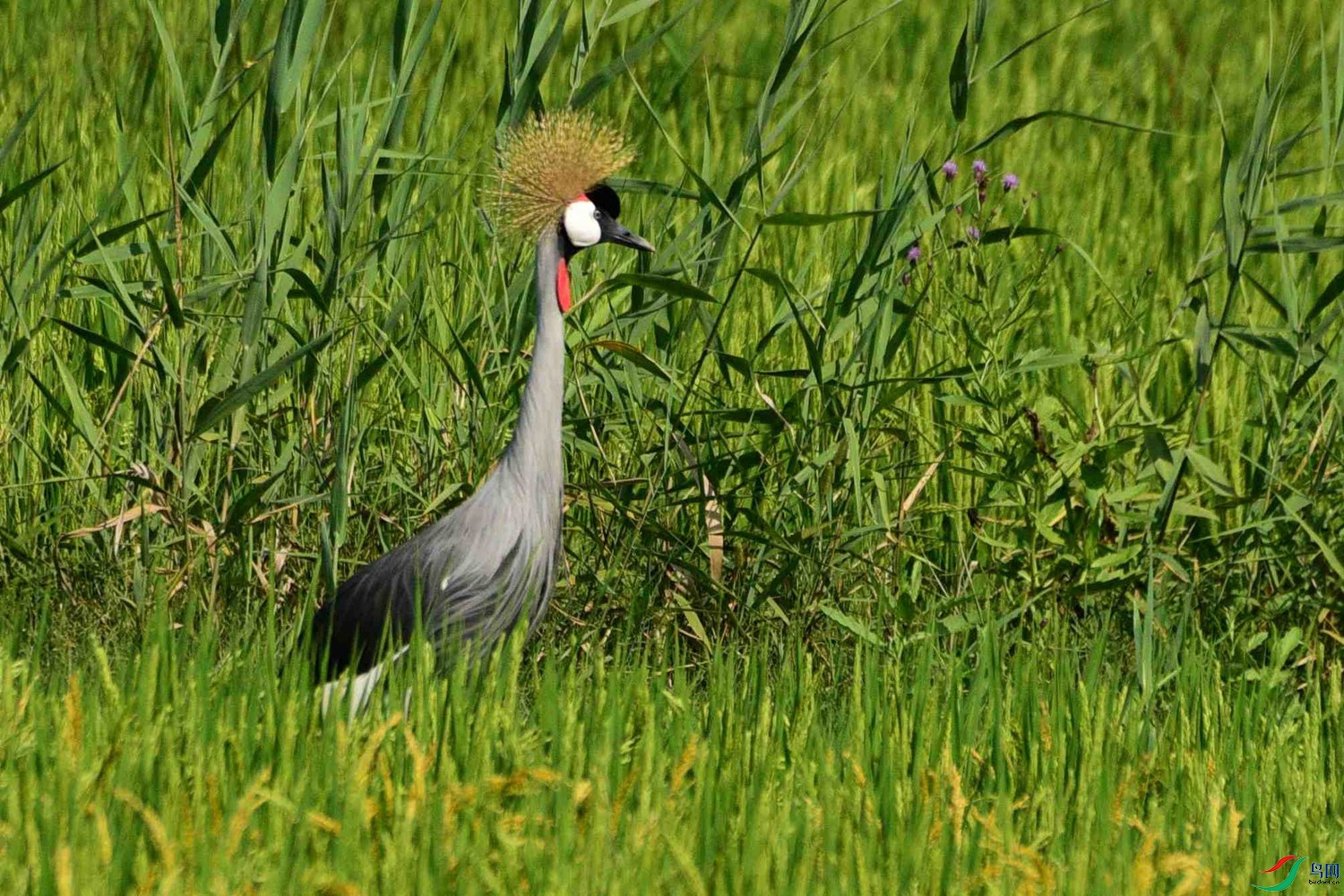 DSC_5359.JPG