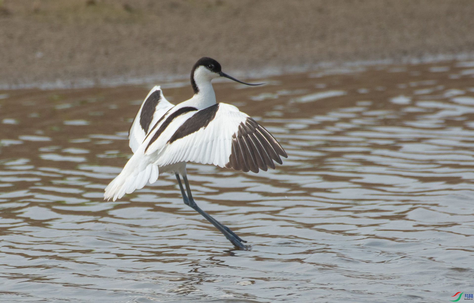 DSC_5197.jpg