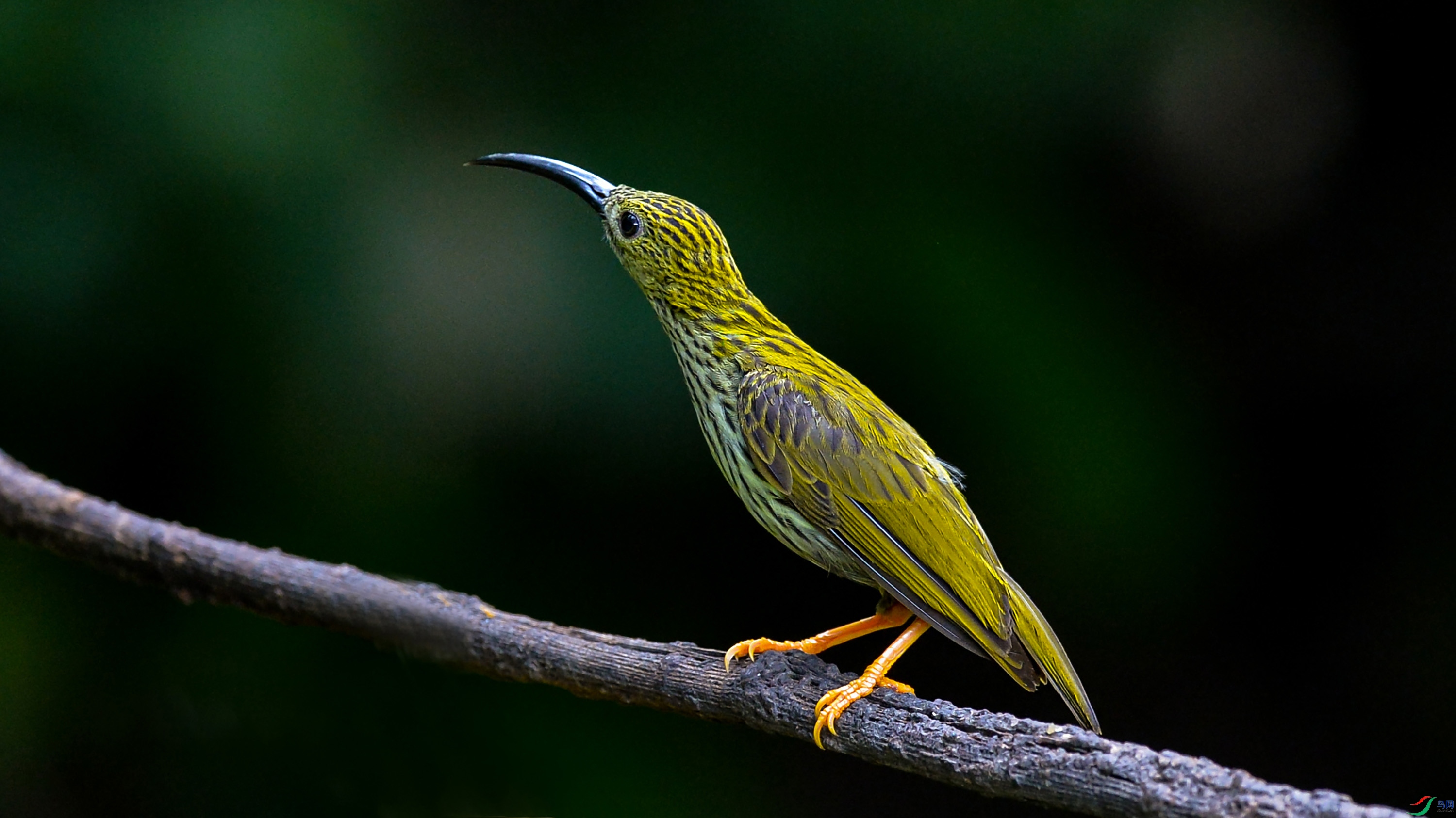 DSC_9252.jpg