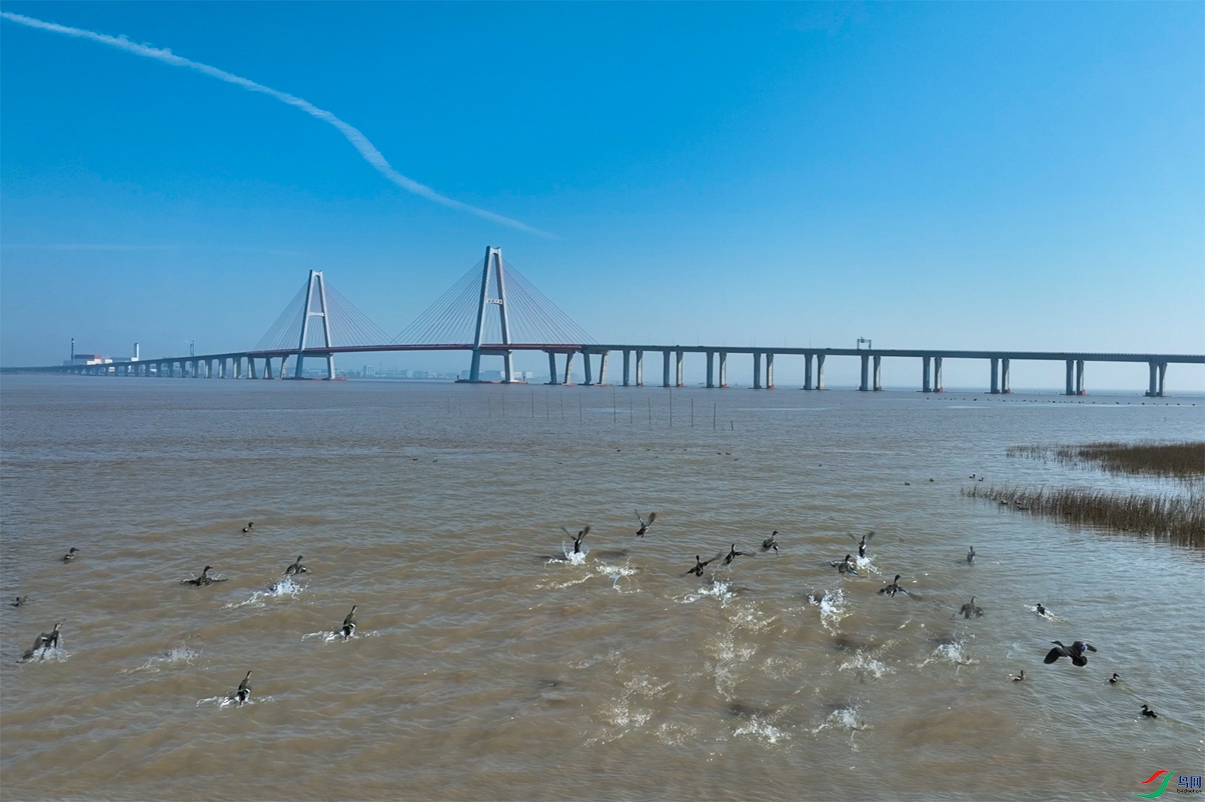 ΢��ͼƬ_20240817215654 ����.jpg