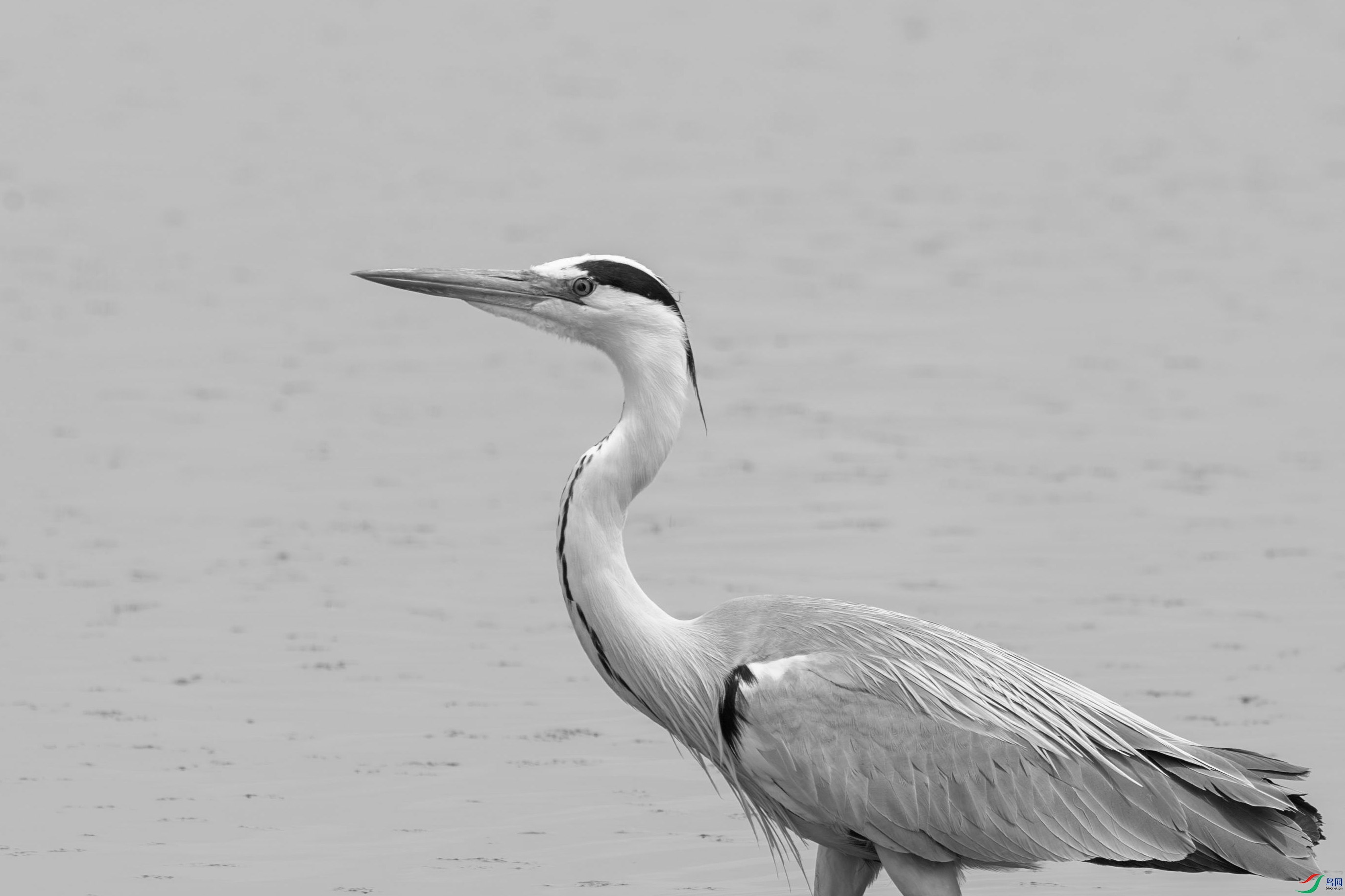 DSC_1382.jpg