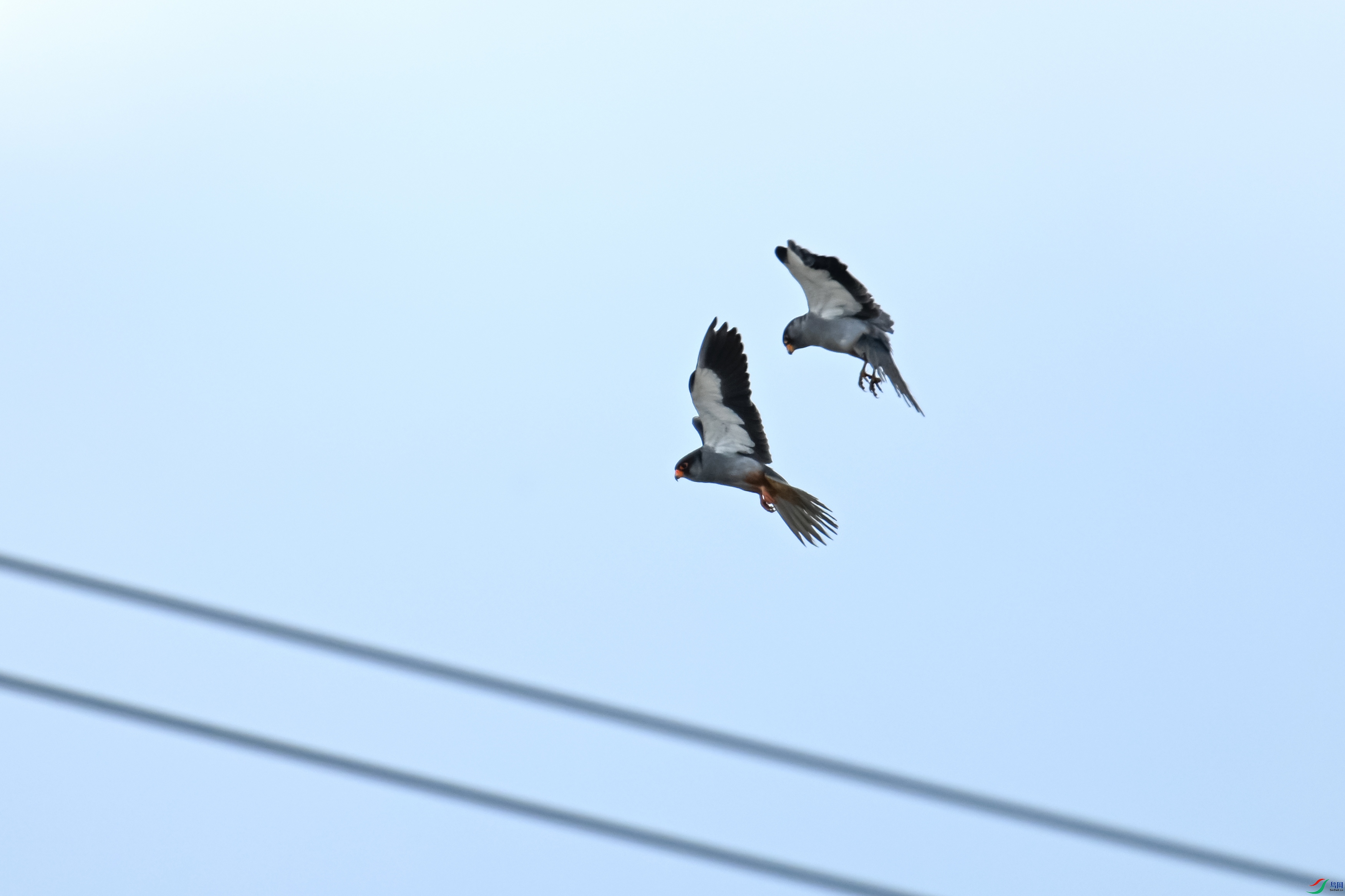 DSC_5851.JPG