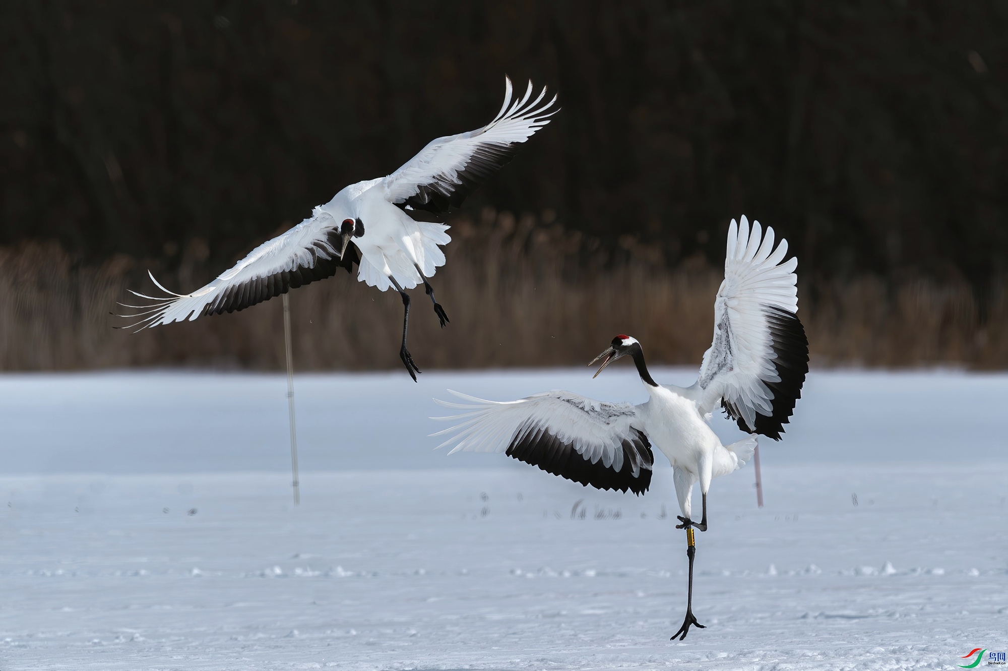 _DSC7958_.jpg