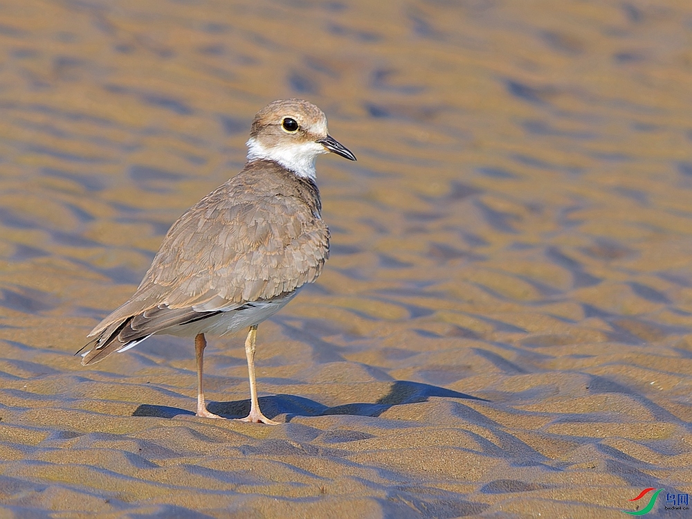 P8130228_DxO - ����.jpg