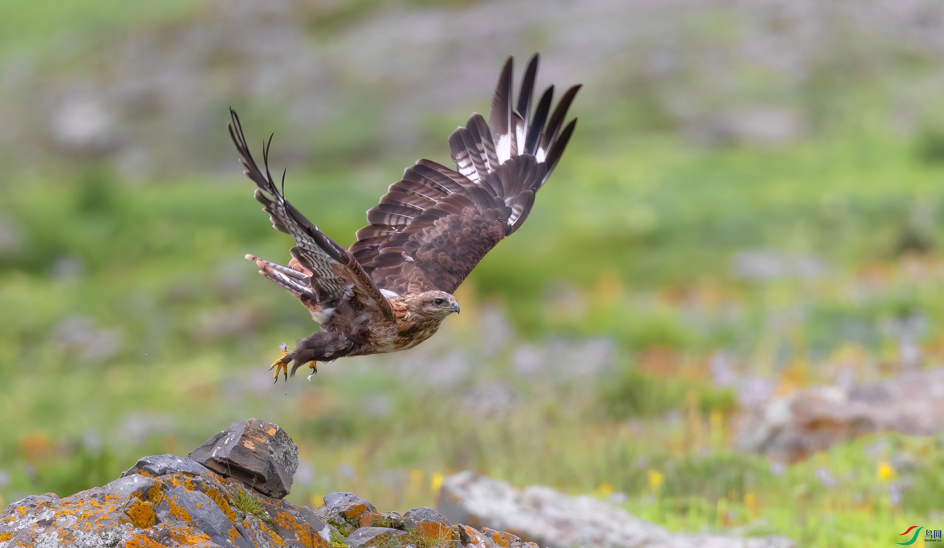 _X0A6641-topaz-denoise.jpg