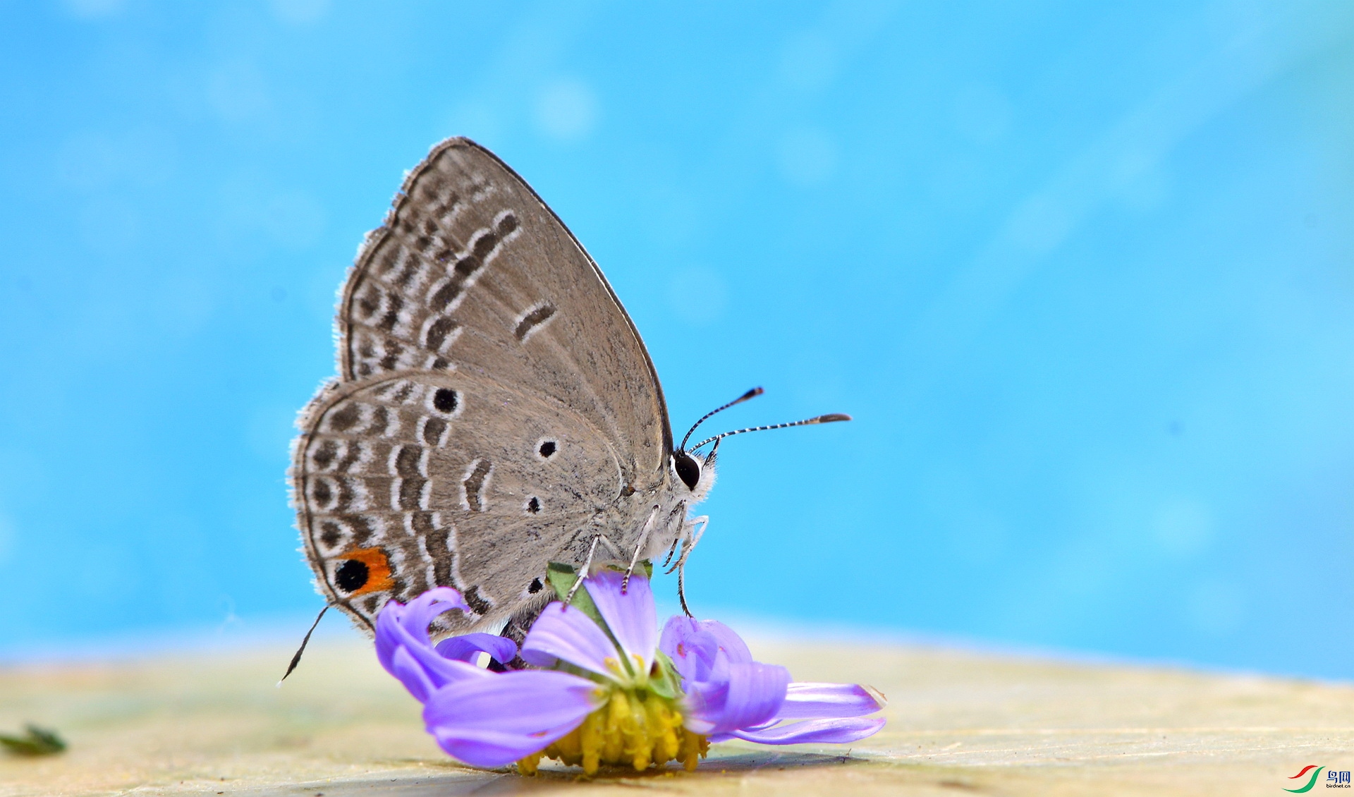 MOO_5924_����.jpg