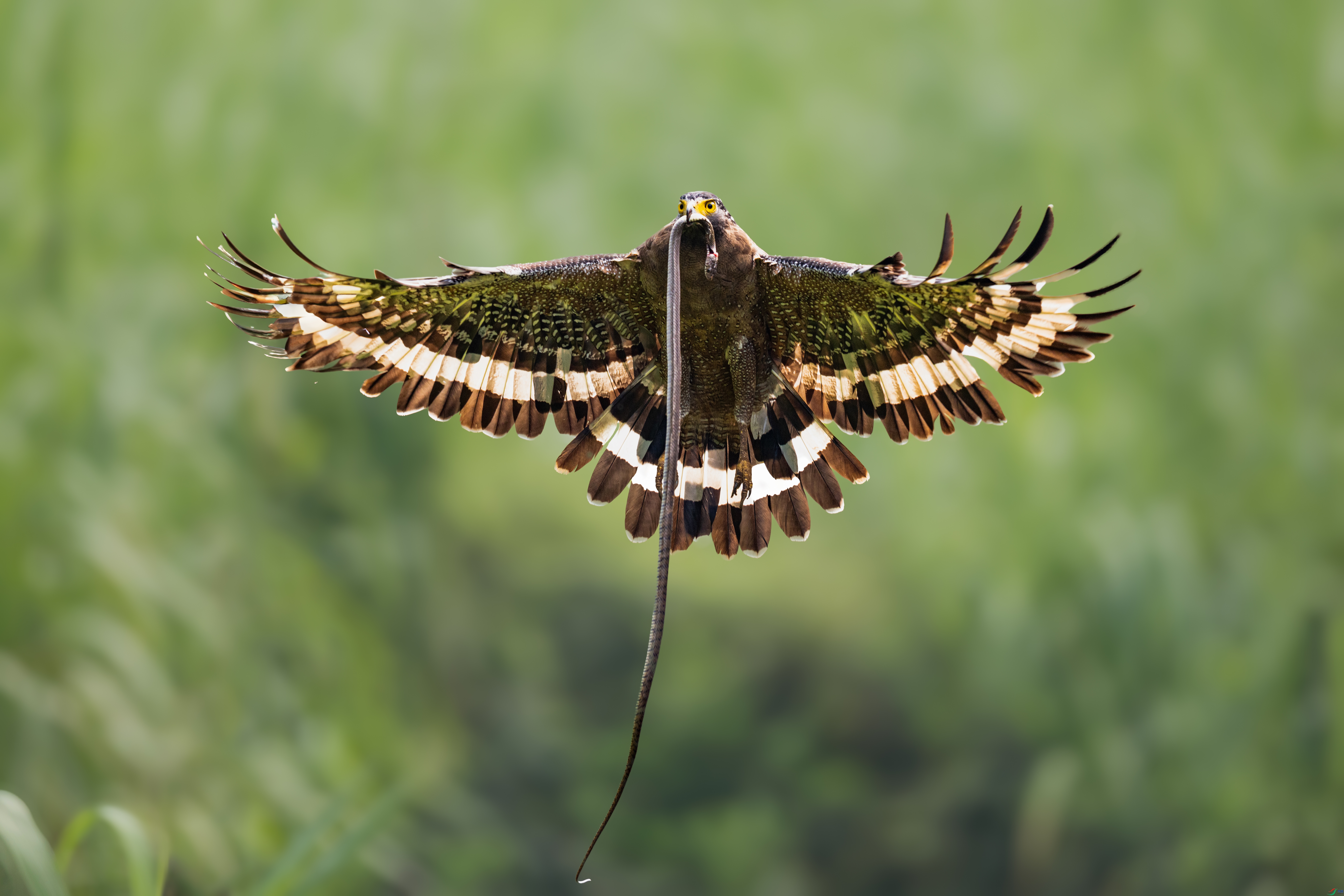 9F3A6510 ����A.jpg