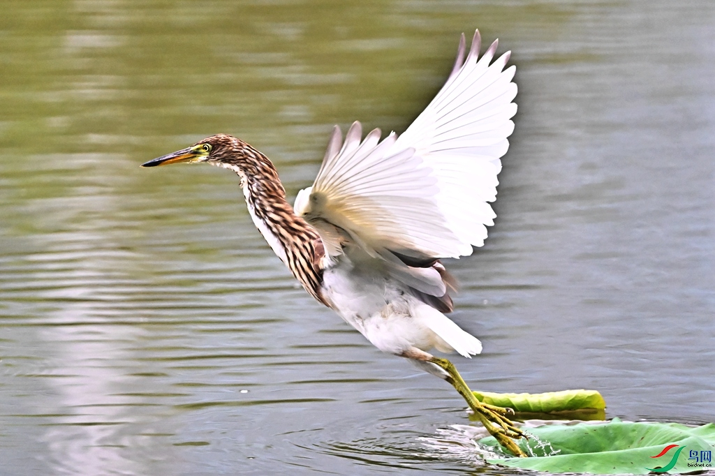 DSC_9714.JPG