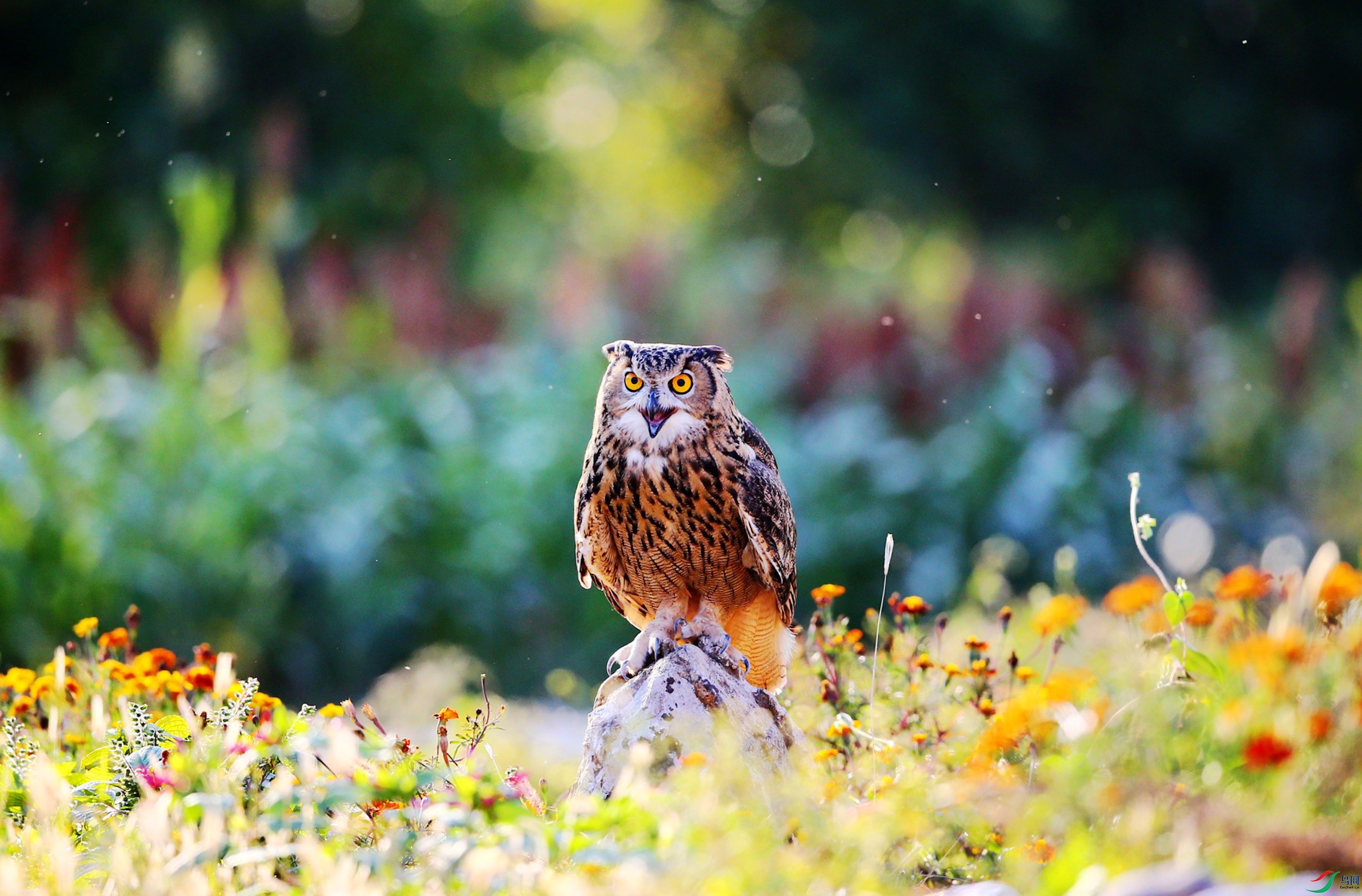 ���^  (72).JPG