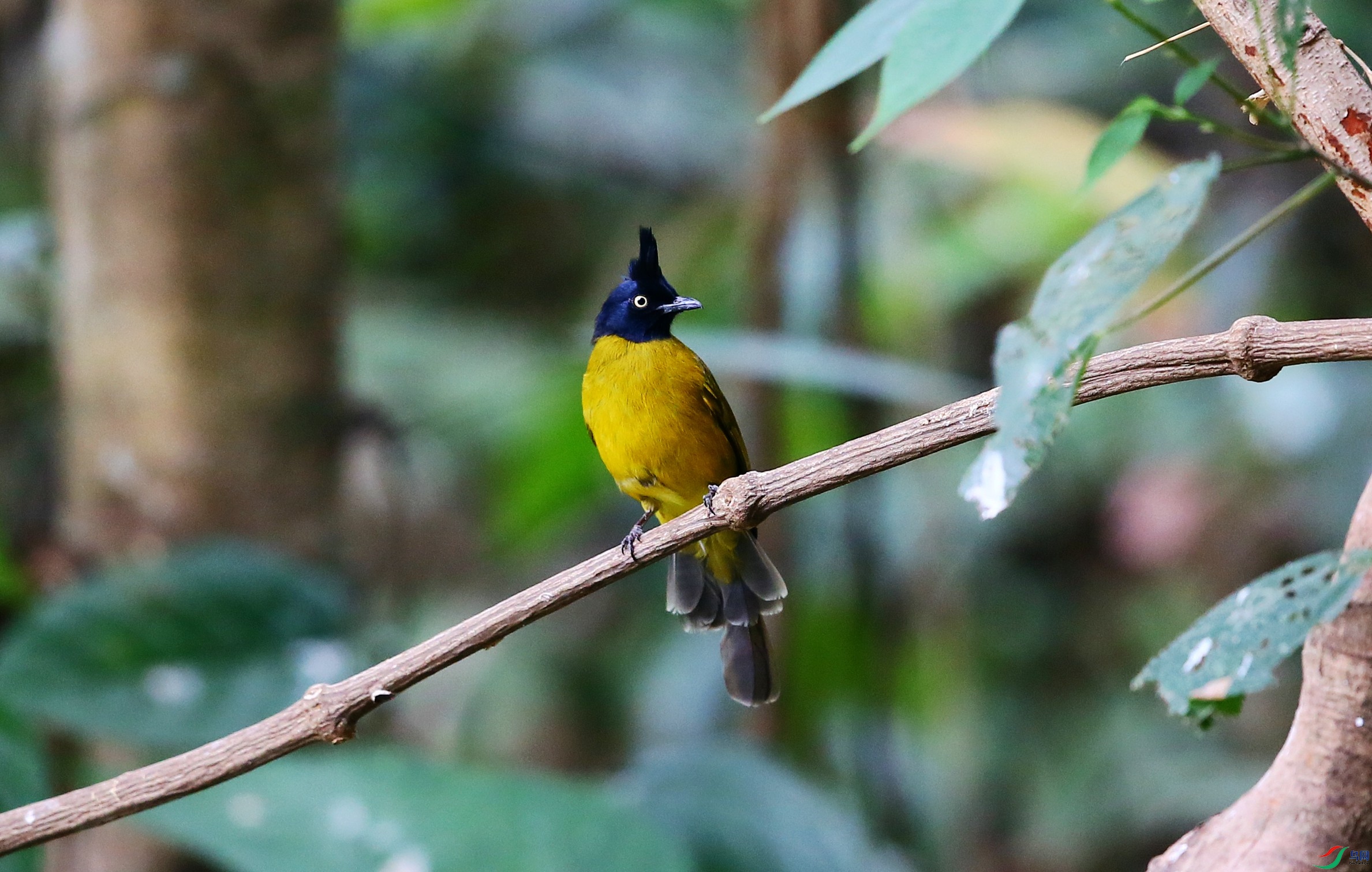 �ڹڻ��� (6).JPG