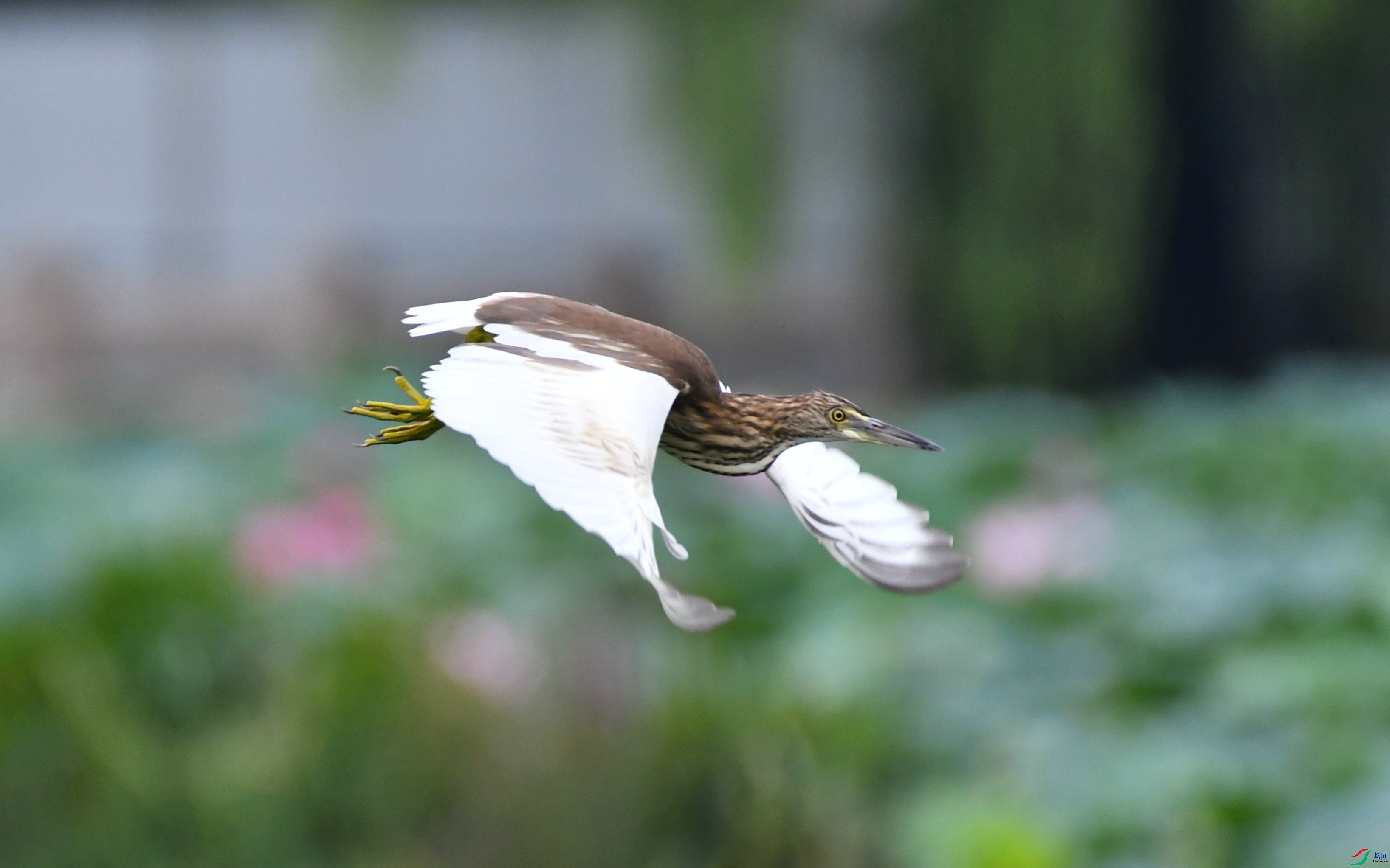 DSC_2571.JPG