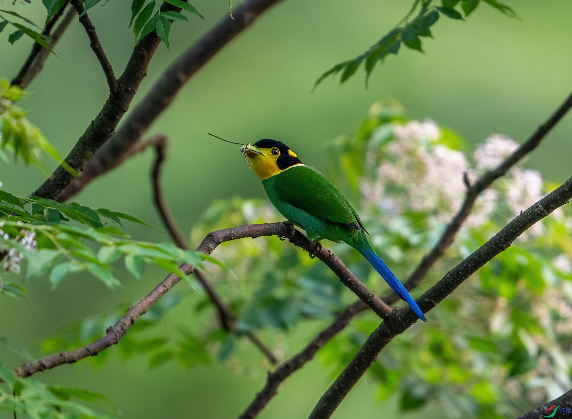 DSC_8365-1.jpg