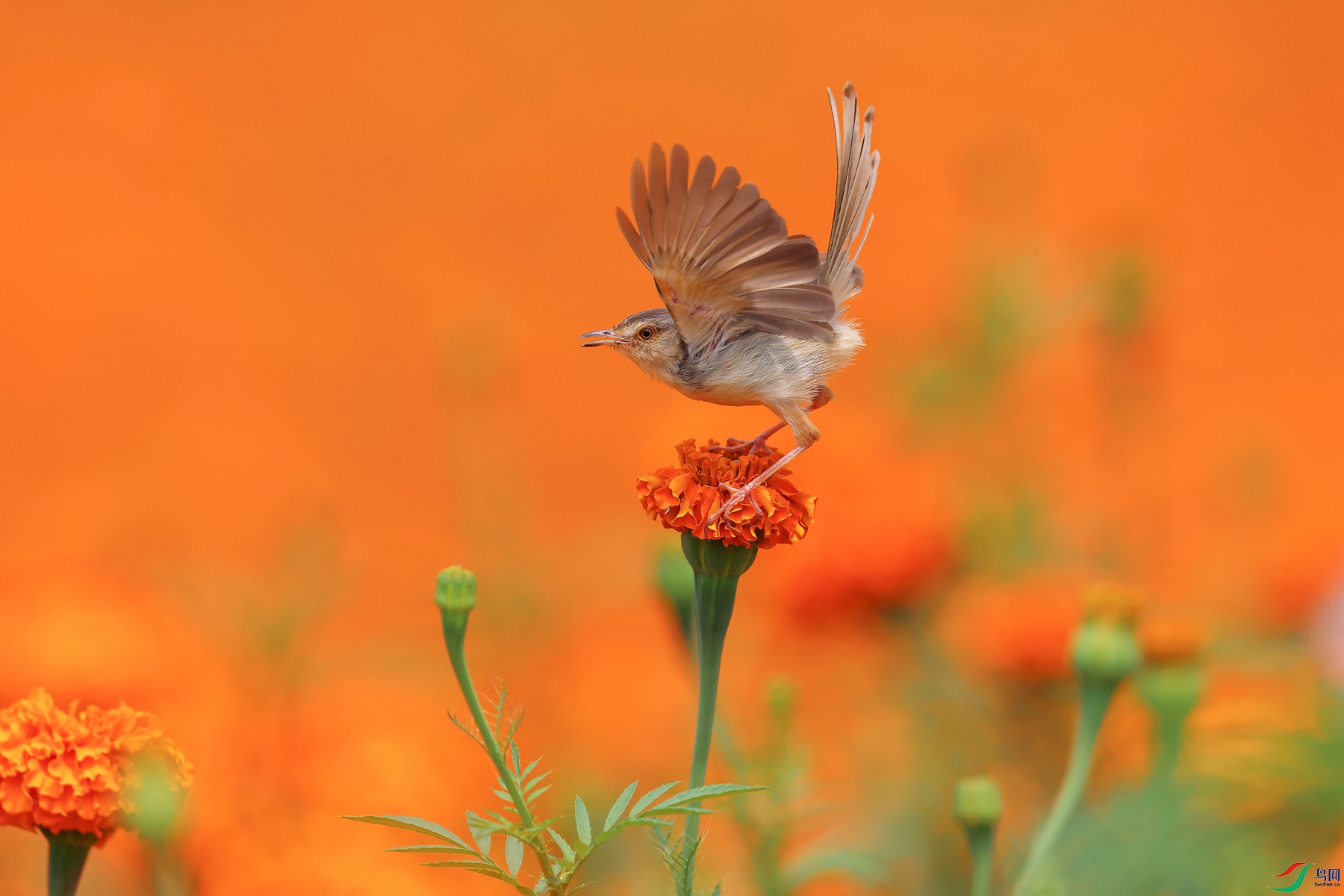 0E2A7323_����.jpg