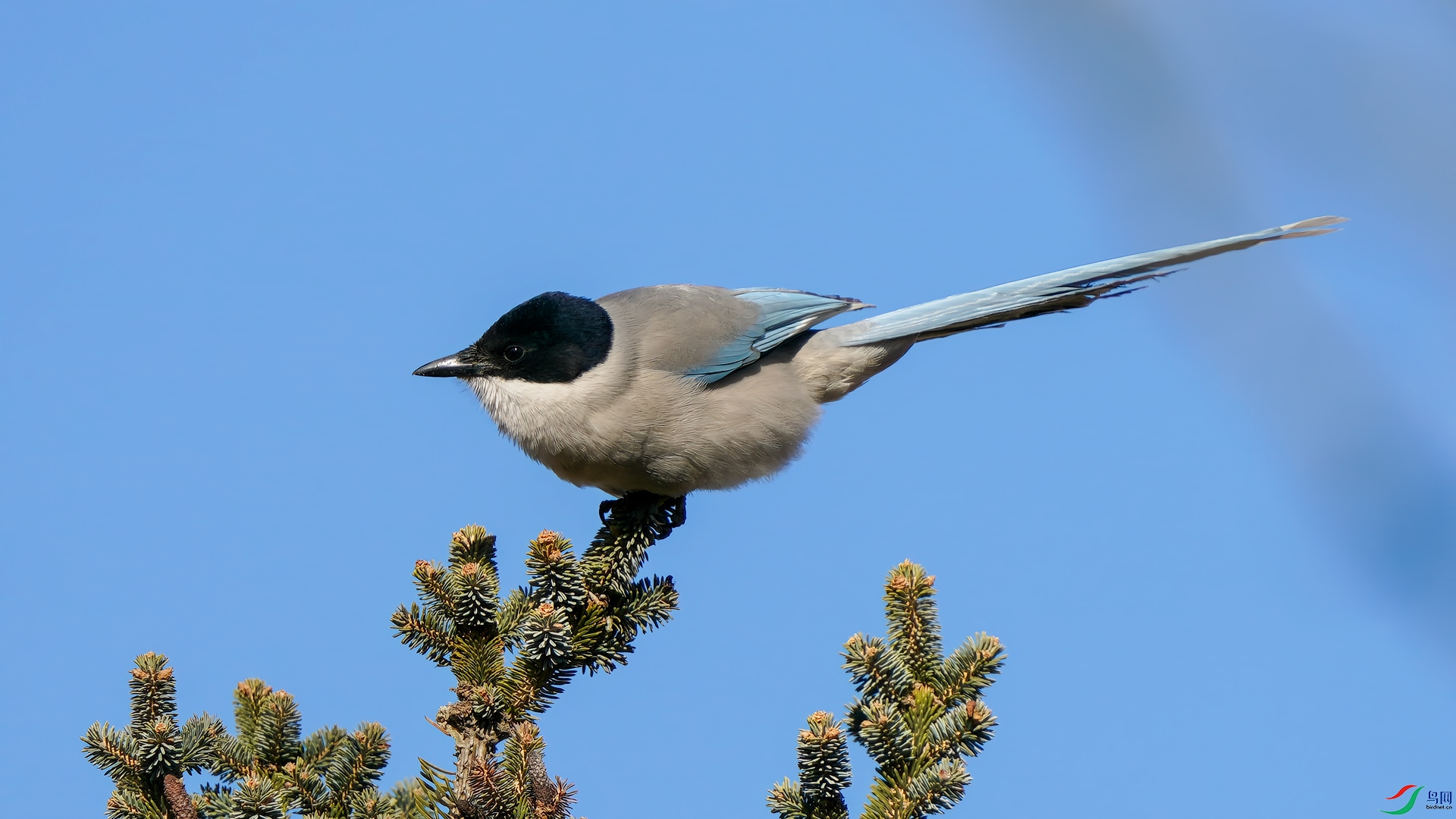 DSC02862.jpg