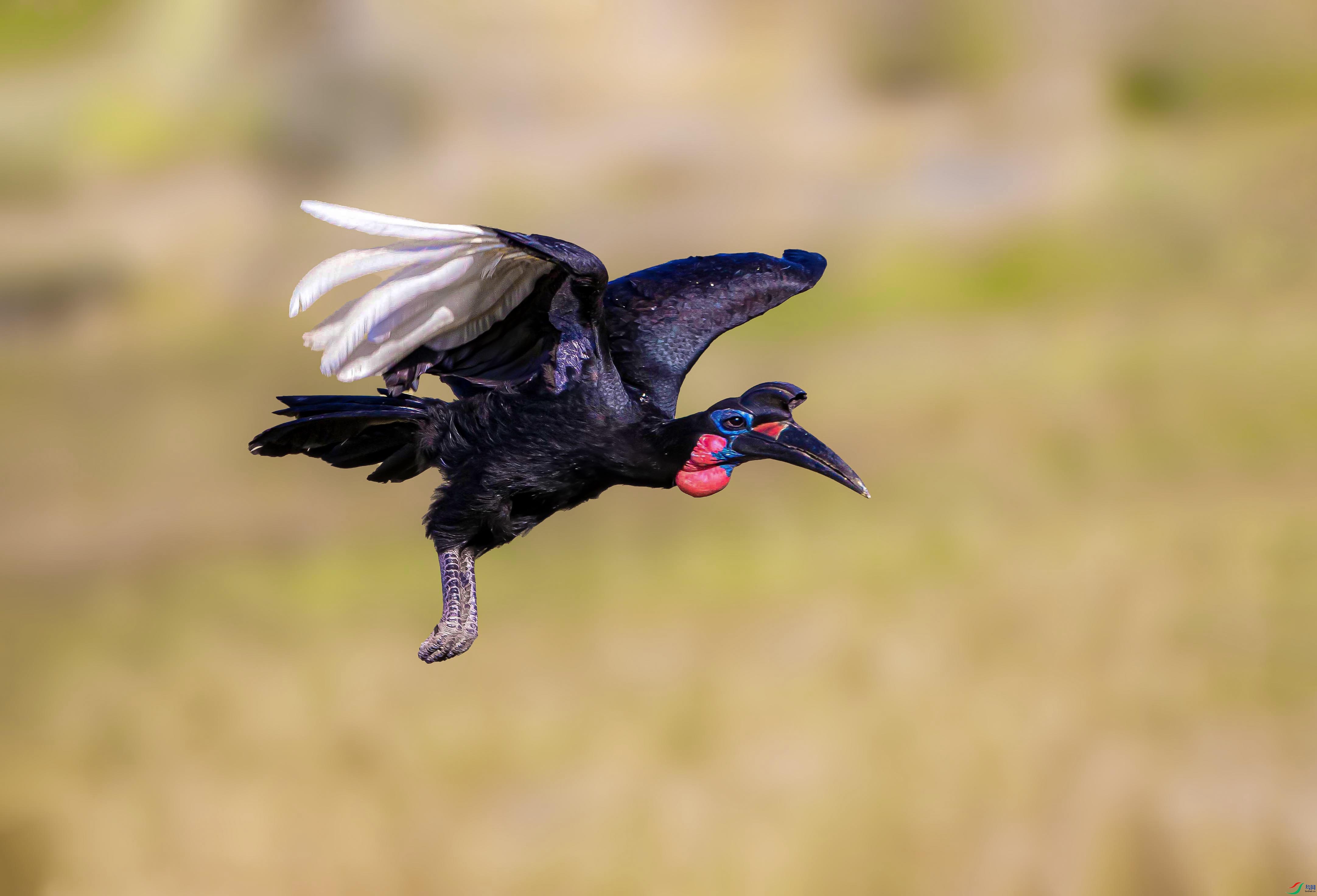 ��Ϭ�� ���� 1.jpg