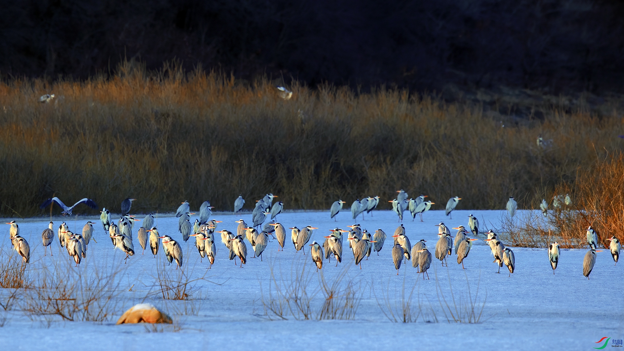 ���ؾ�������ů