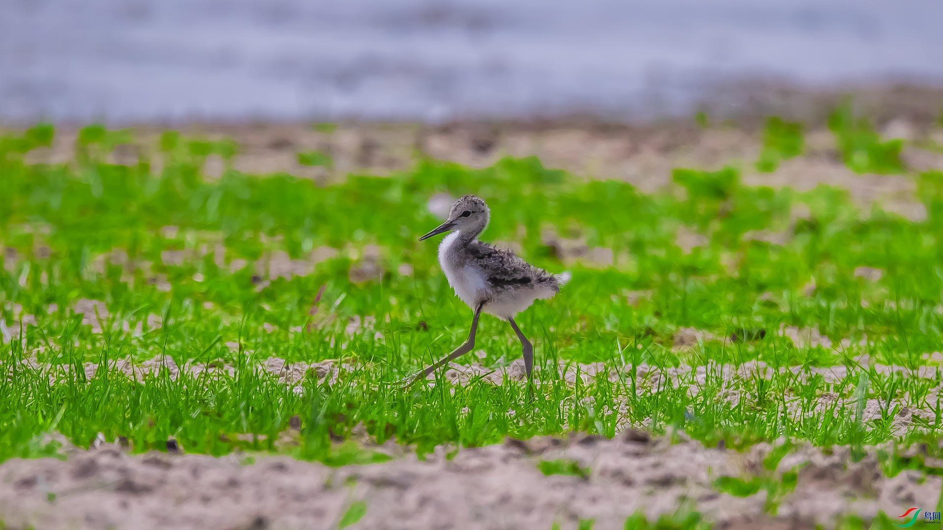 ����ѧ�� 2