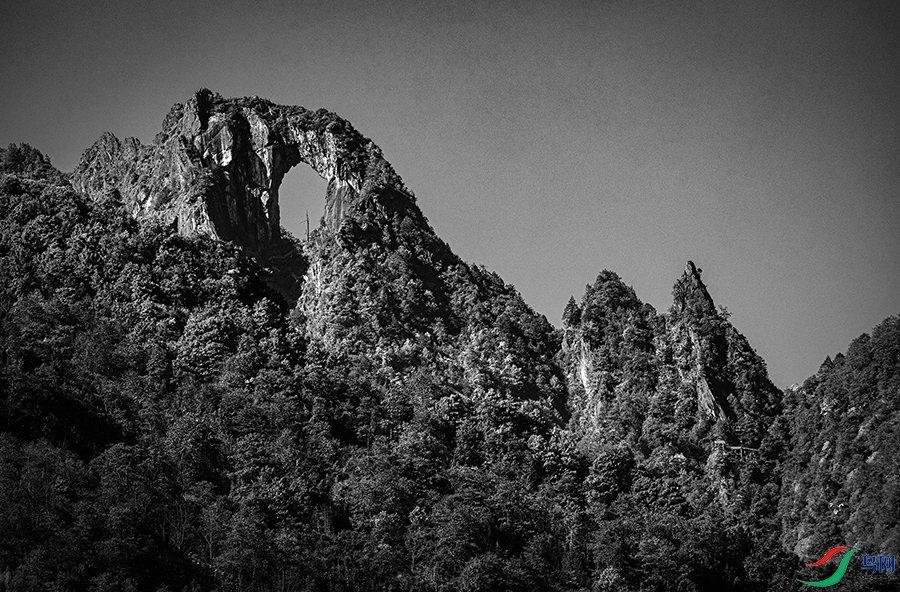 4X8A2335 ����.jpg