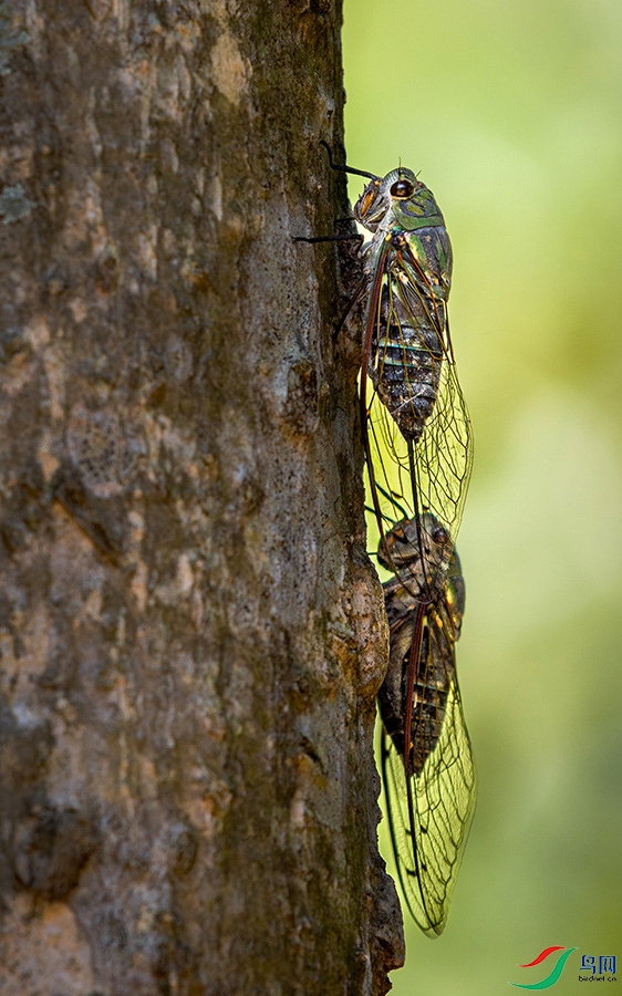 0R5A0894 ����.jpg