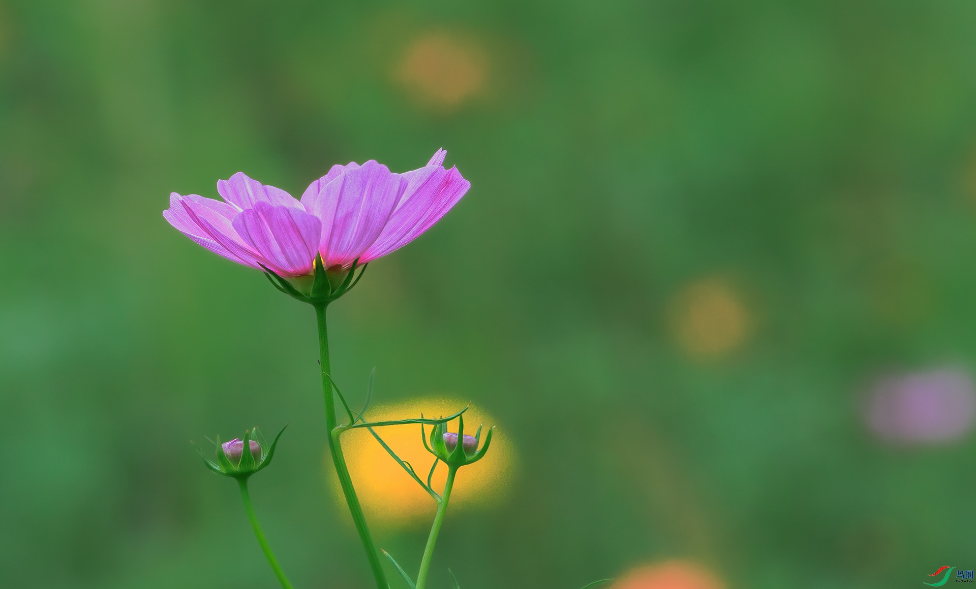��1M5A6778.jpg