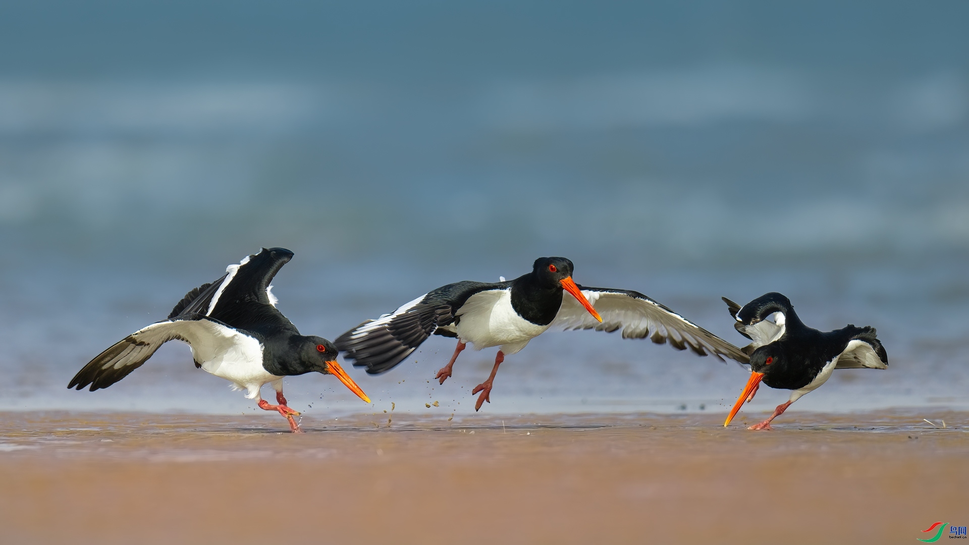 ÿ�ռ��� ����л�  ���� ���� ����.jpg