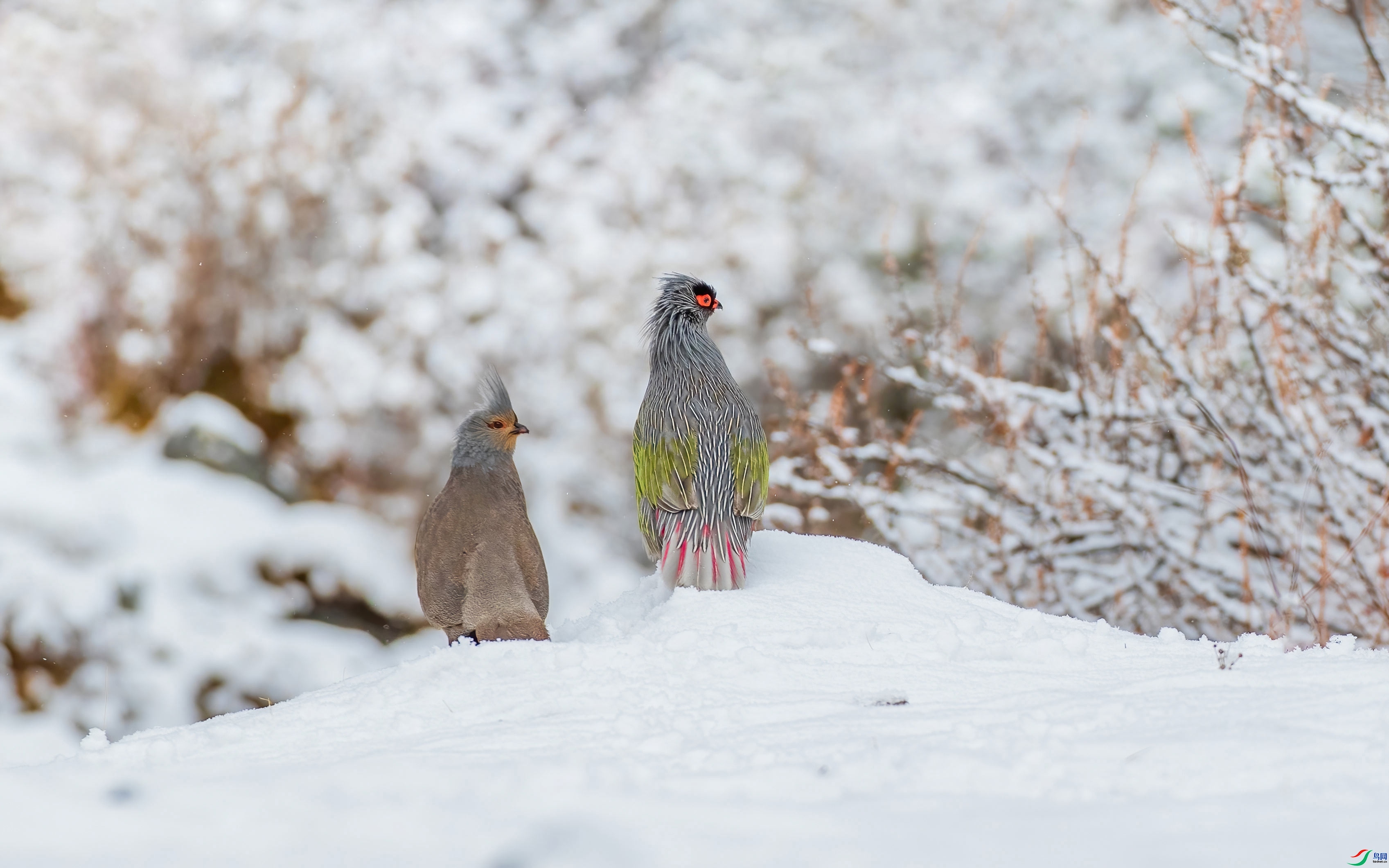 ѩ�����  ���� �ɶ��Ͻ� ��һ.jpg