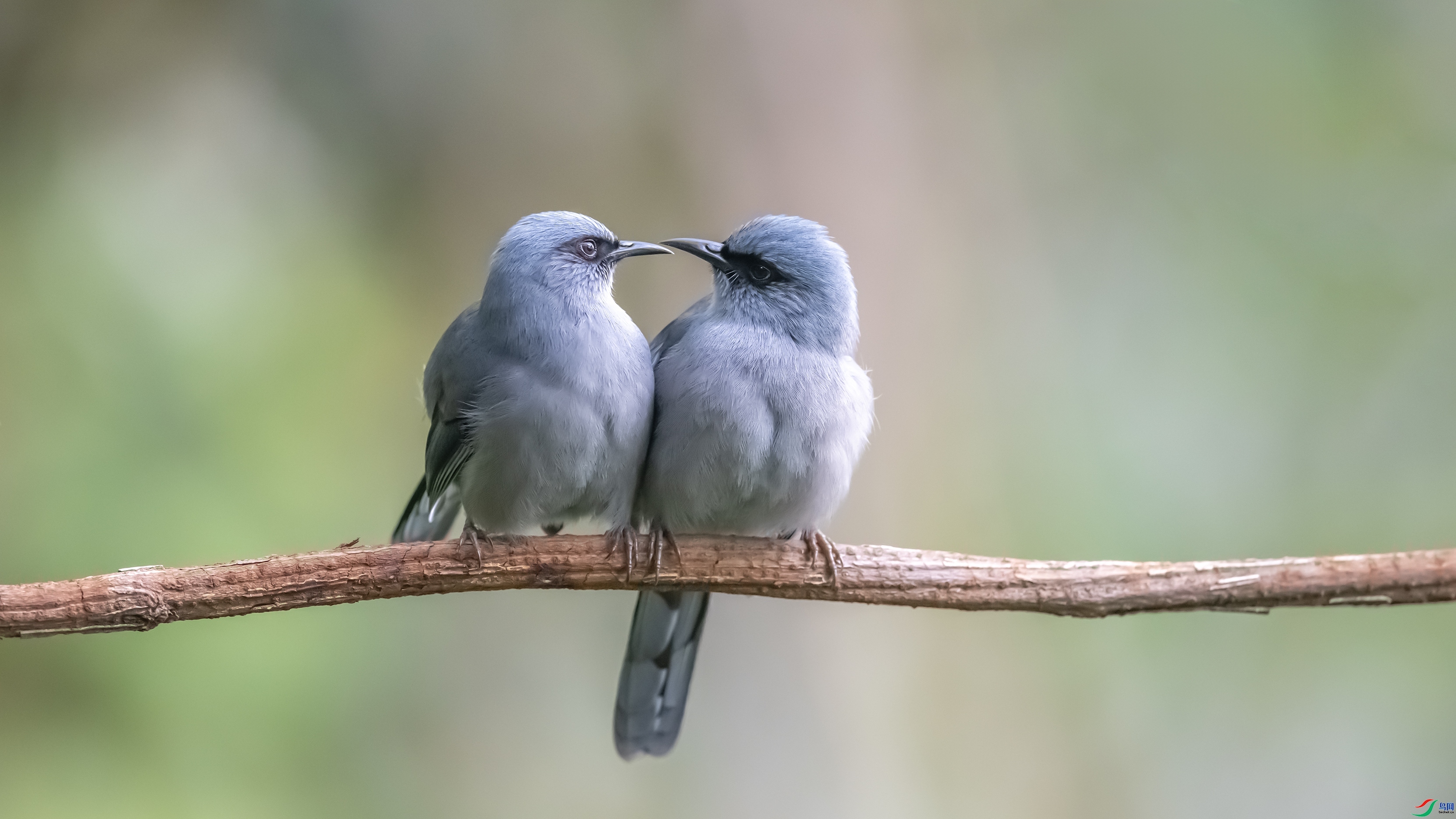 ���� ���� ������ͷ ��һ.jpg