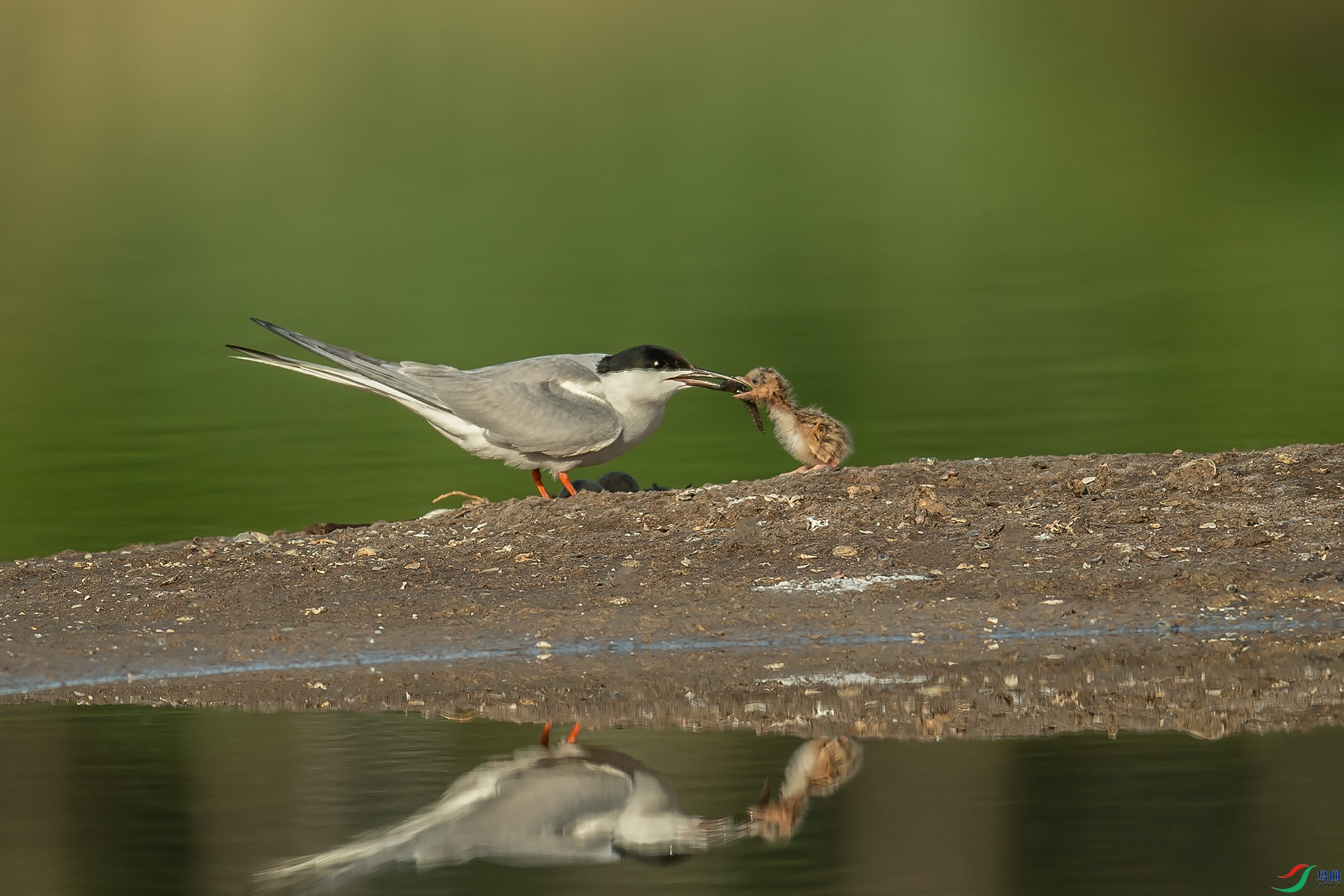 DSC_2152.jpg