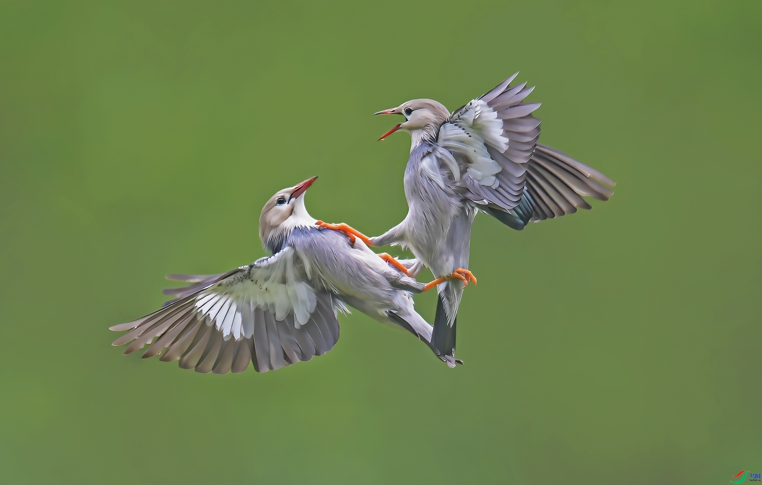 ���и� ���� wh�ϳ� �ܶ�.jpg