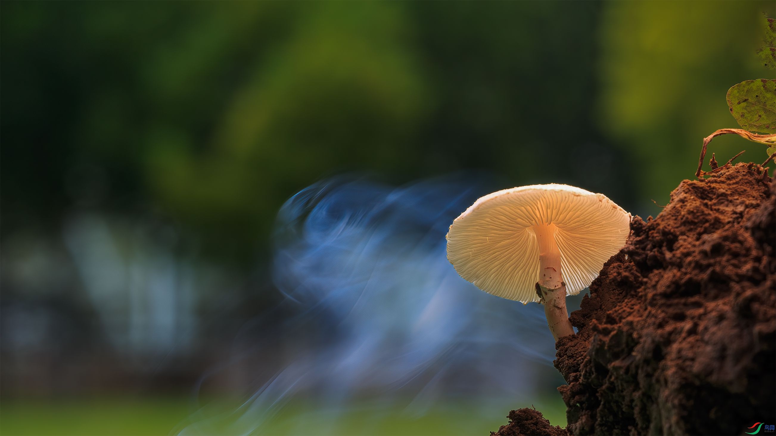 7G9A2229-1_����.jpg