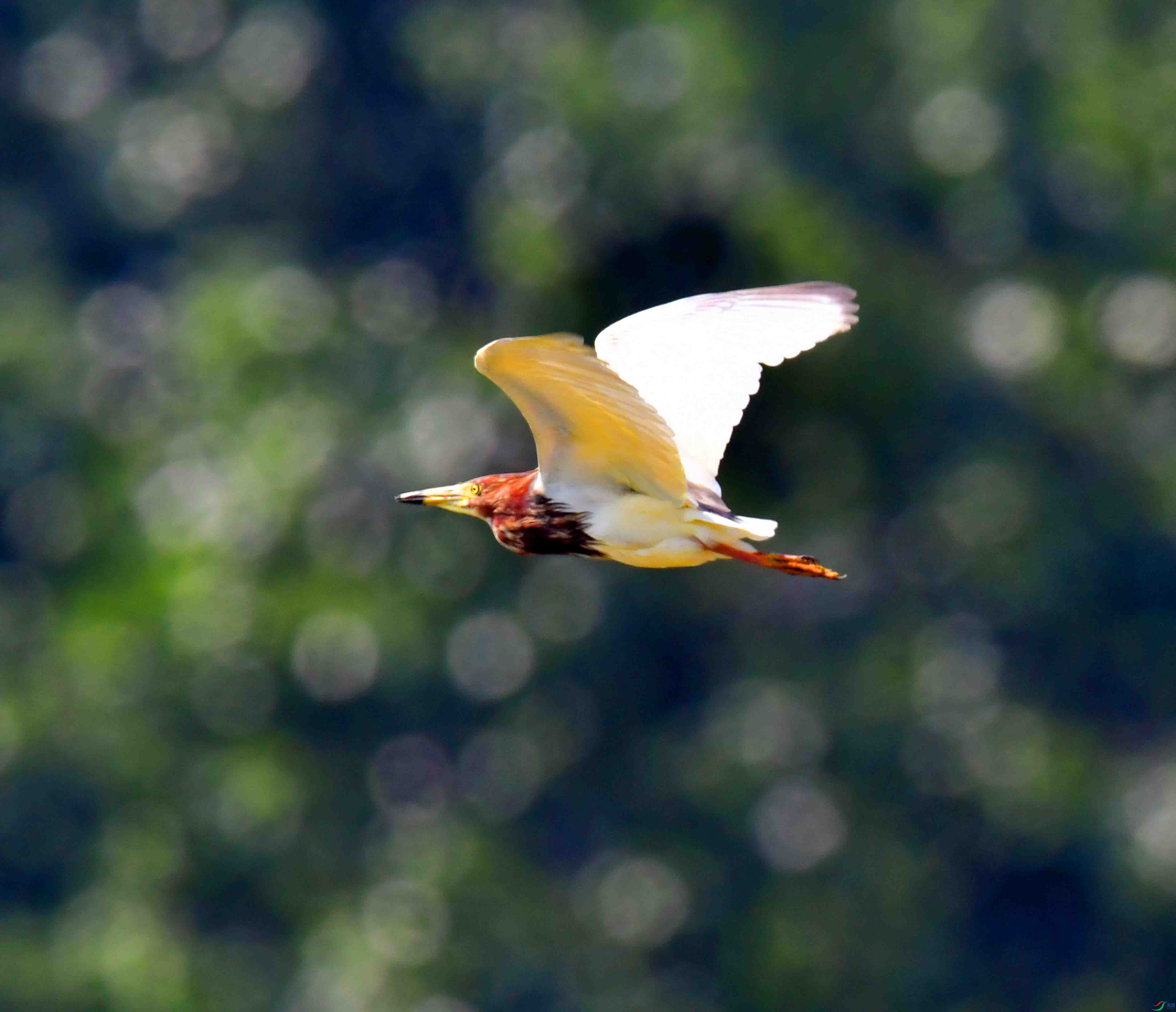 DSC_3533.JPG
