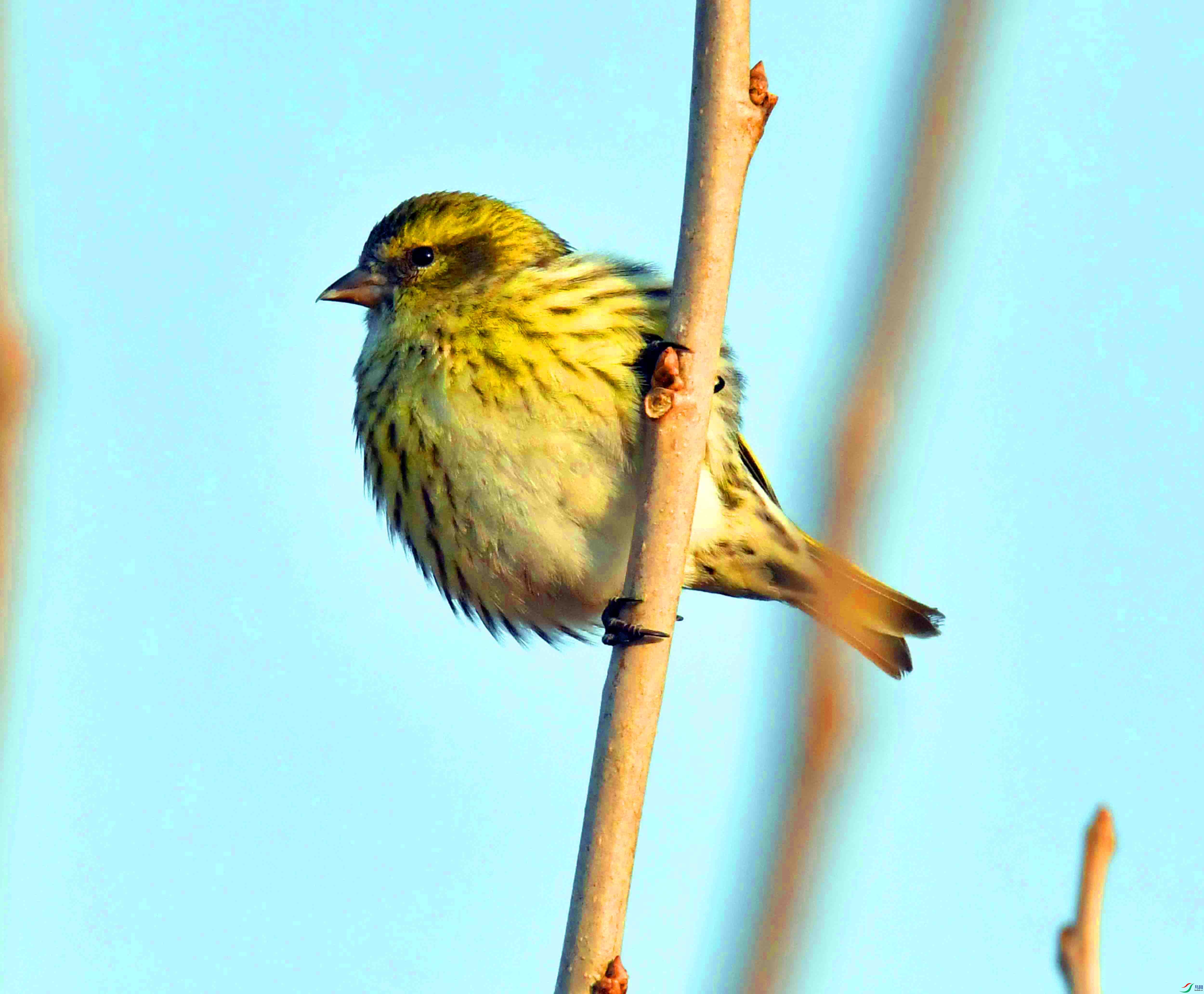 DSC_4577.JPG