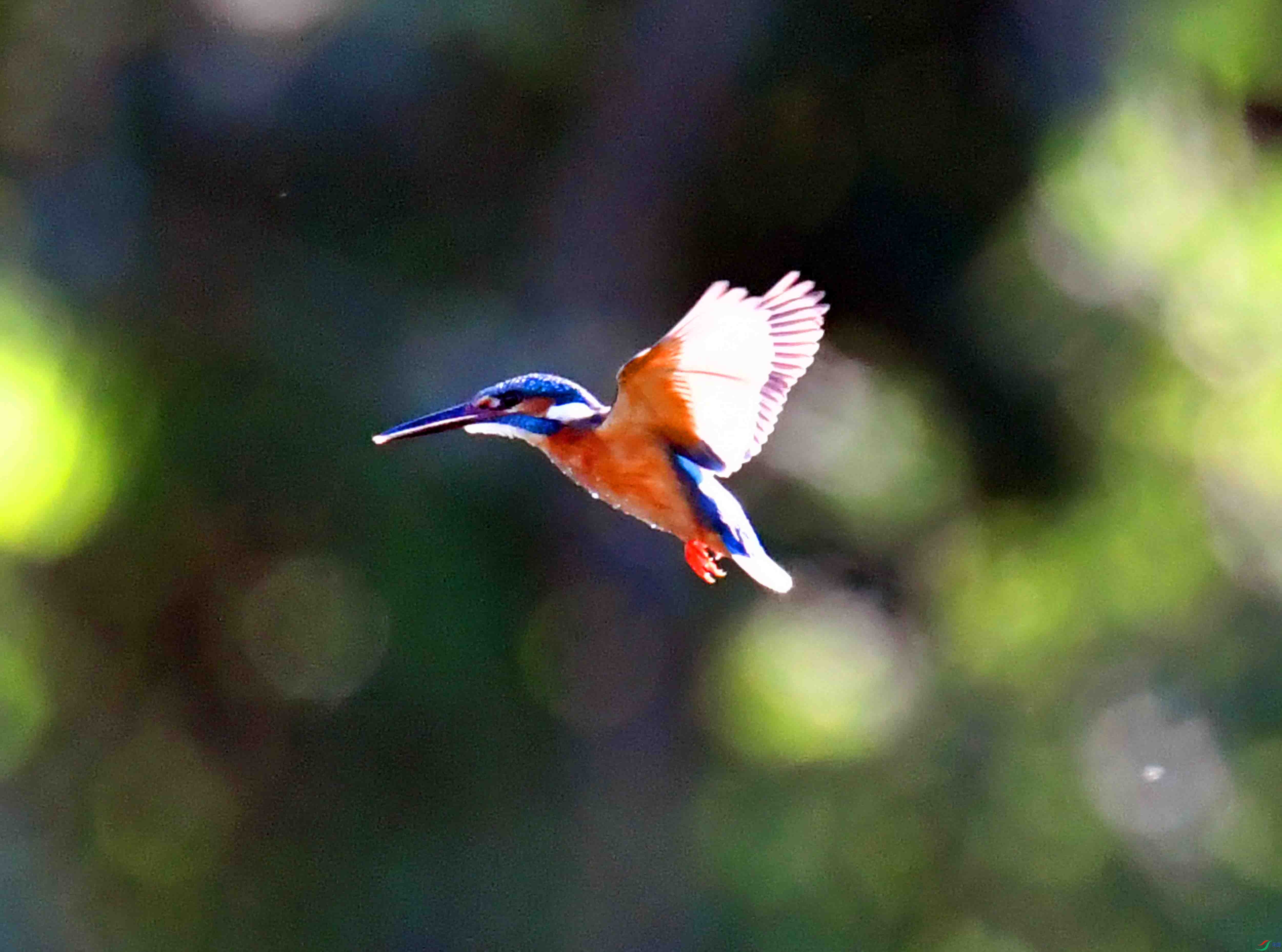 DSC_7813.JPG