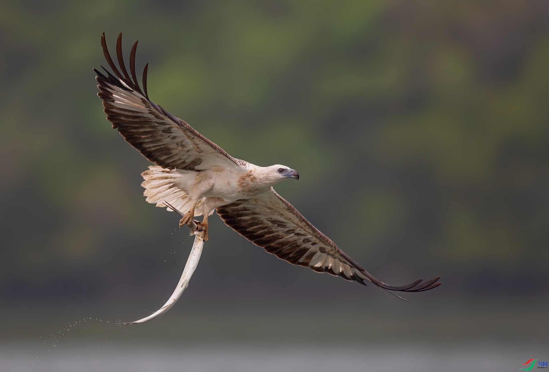 �ջ� ���� �ܷ� ����.jpg