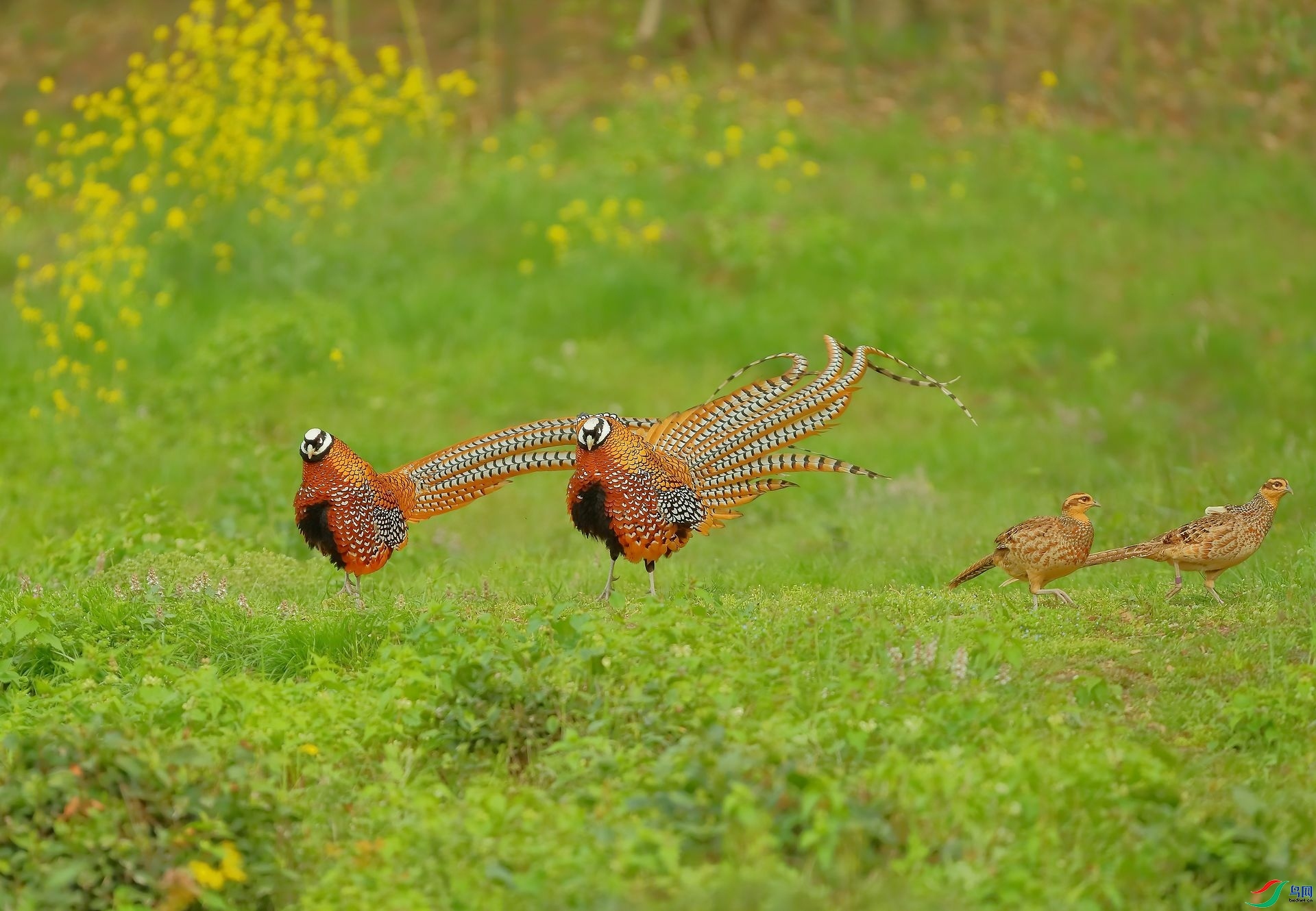 ���ٵĴ���  ���� 8341  ����.jpg