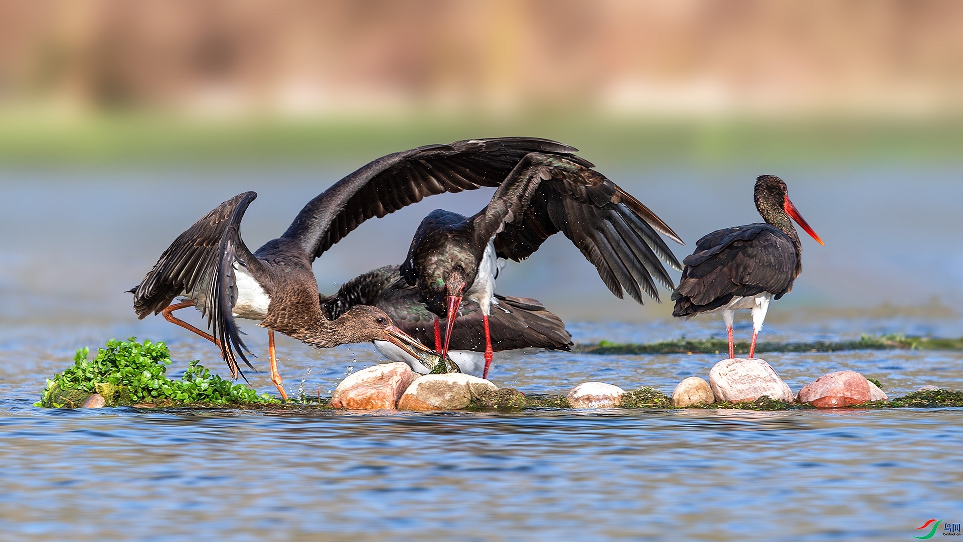 �������� ���� ��ѧ�� ����.jpg