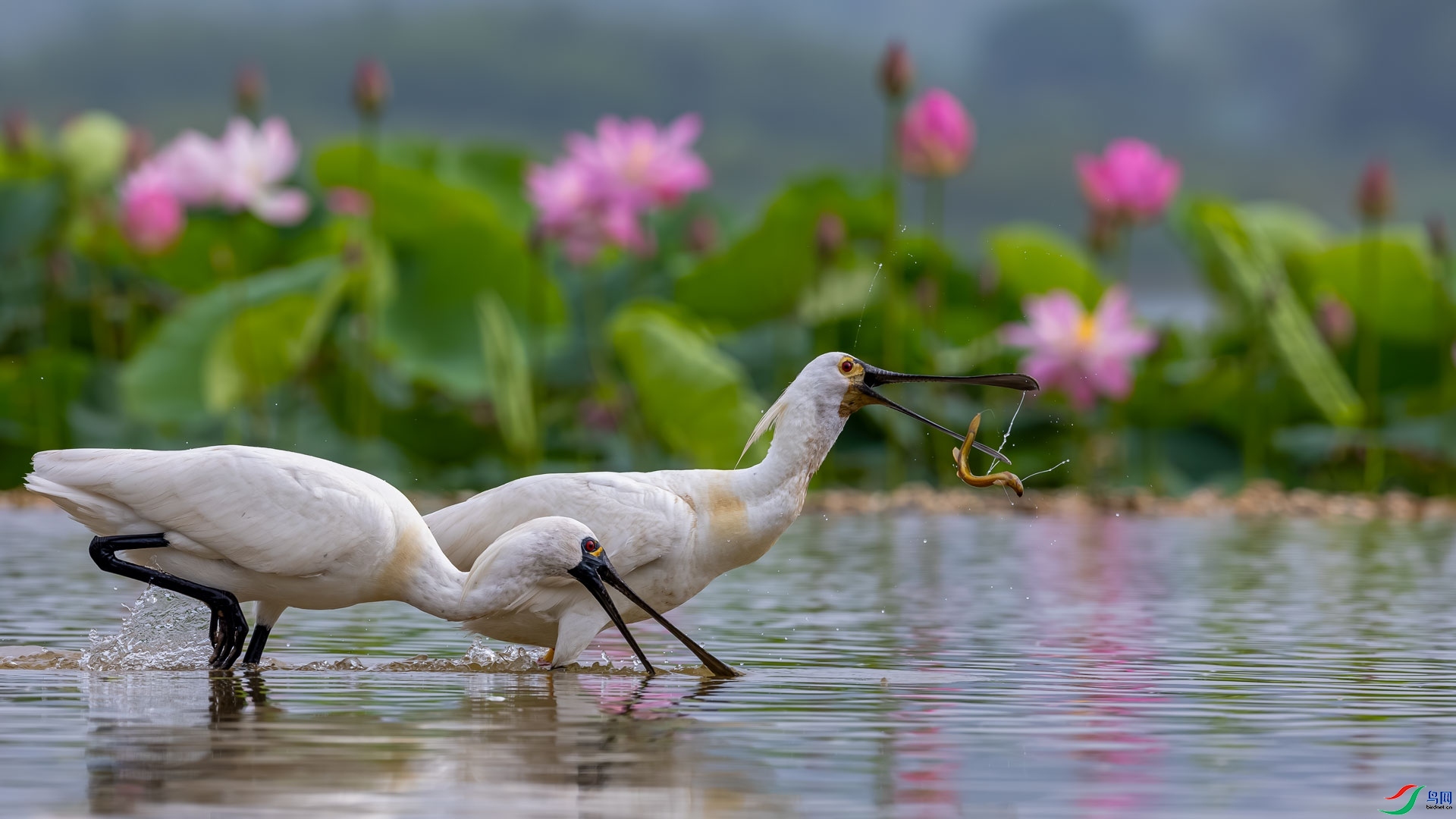 ��ǰ����  ���� ɳ���Խ�.jpg