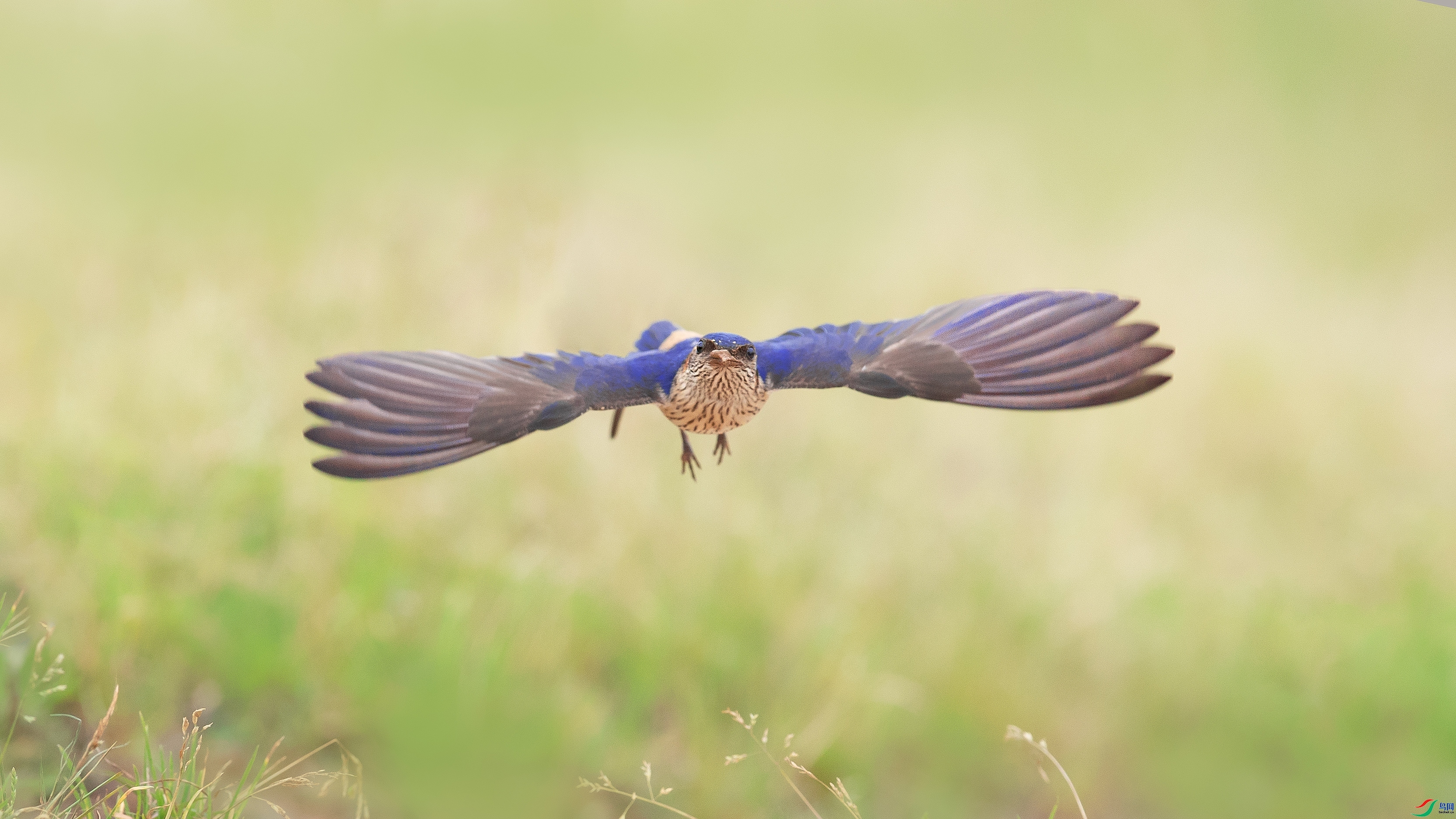 ݺ������  ���� С���� ����.jpg