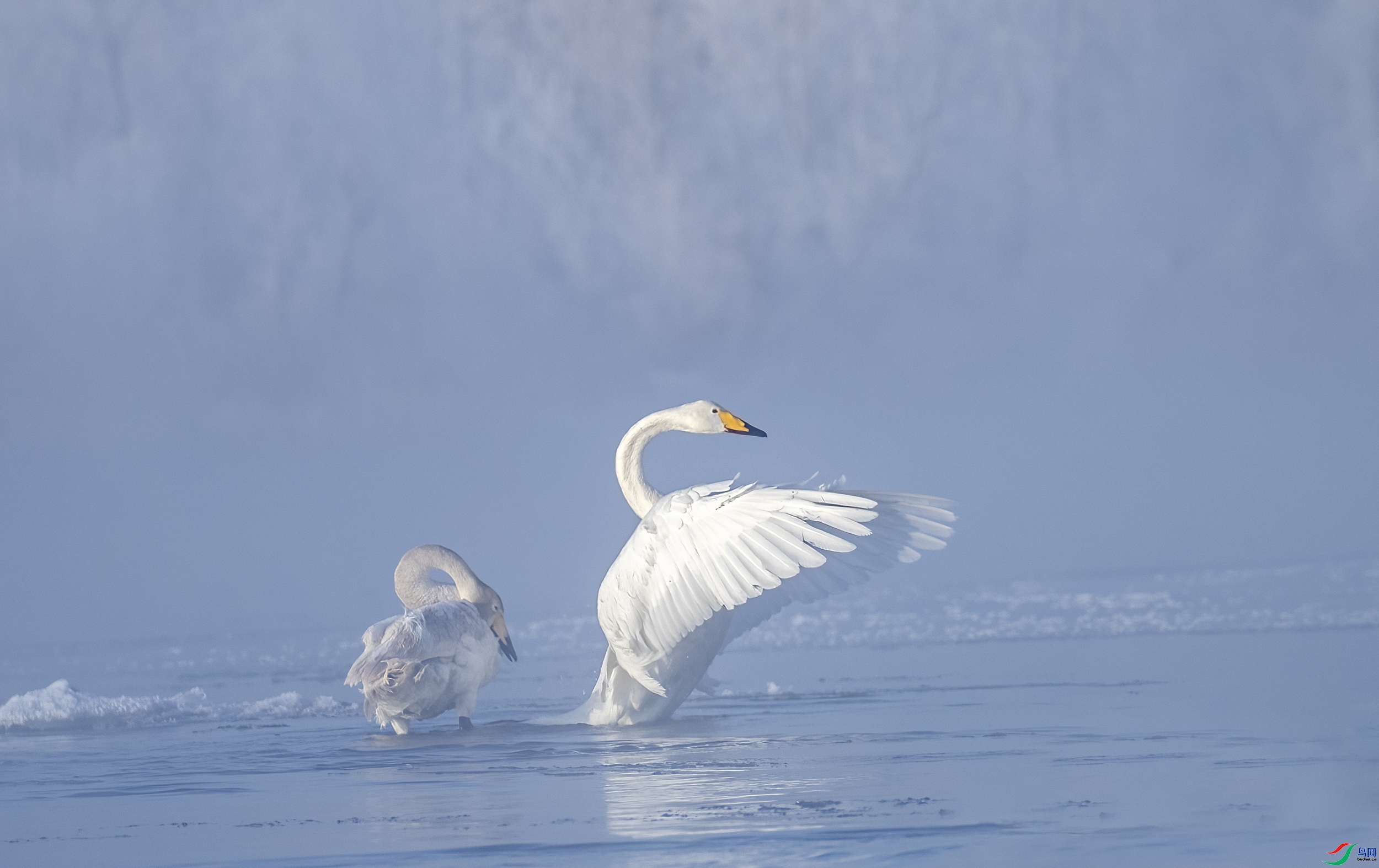 ��ӭ��ӭ ���� ���� ����.jpg