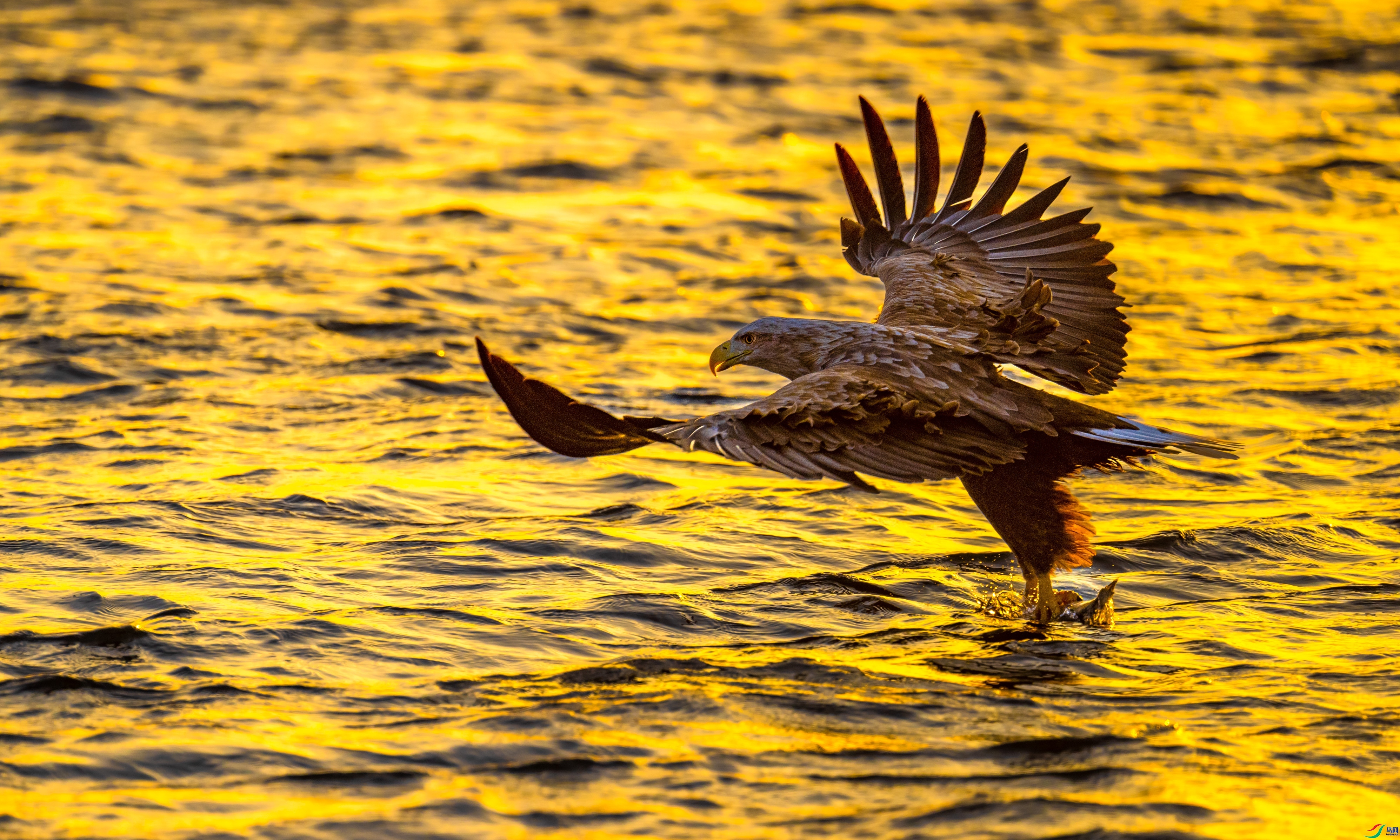 ����˲�� ���� ��������bj ����.jpg