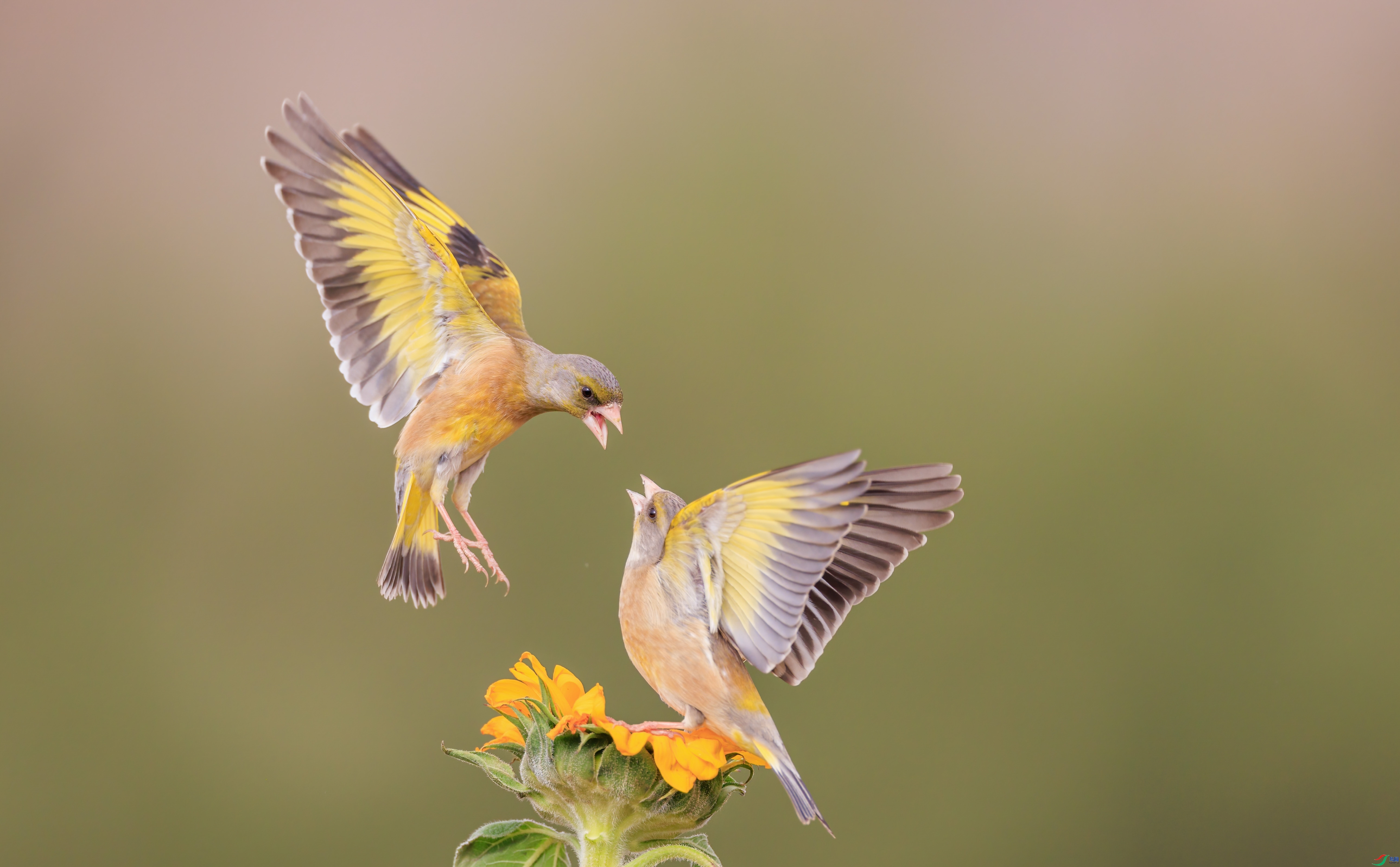 ���� ���� ������   ����.jpg