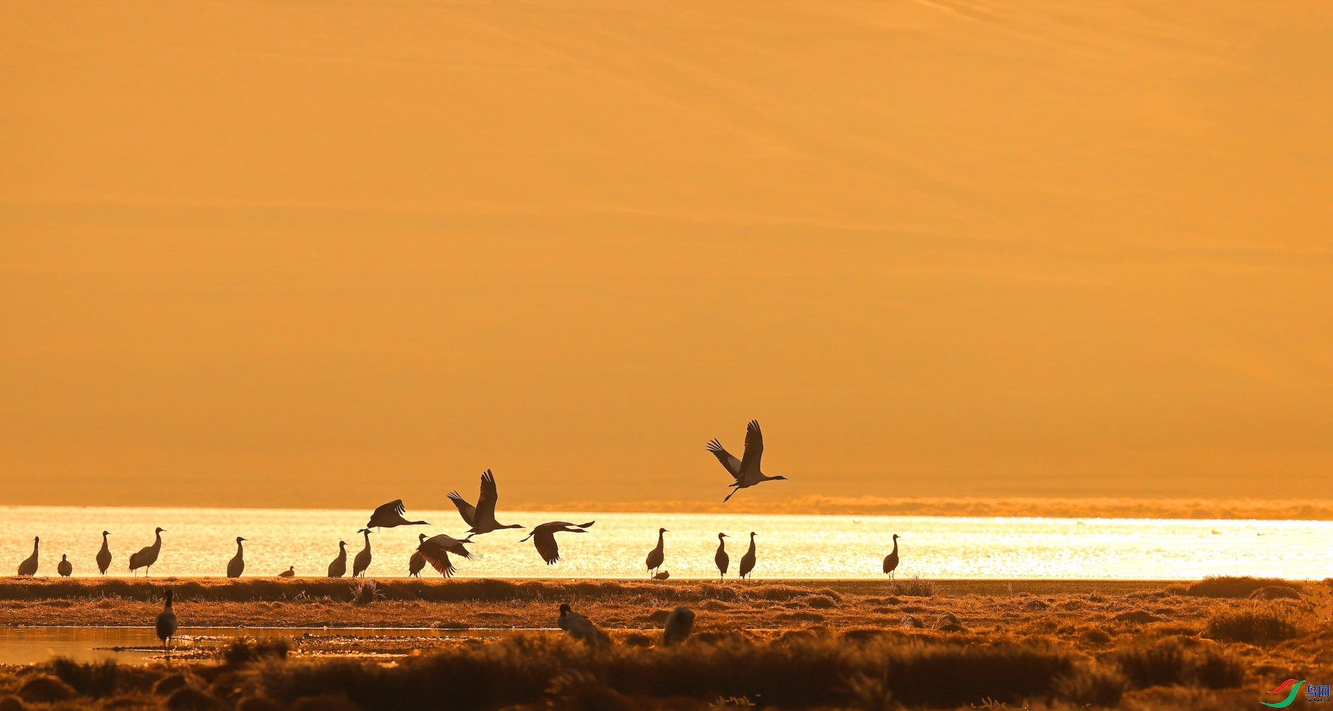 ��������  ���� ���� ����.jpg