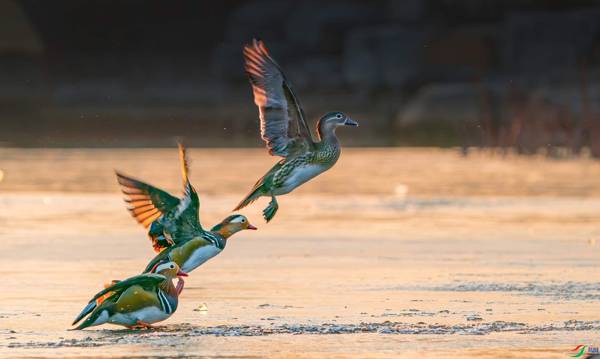 ������  ���� ³�Ĵ�  ����.jpg