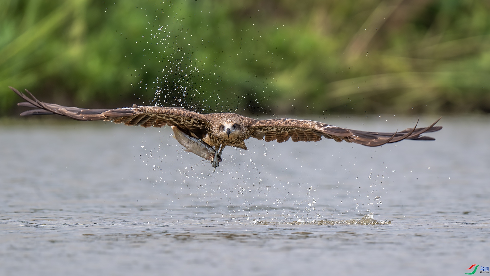 ���ץ��  ���� ��ѧ��  ����.jpg