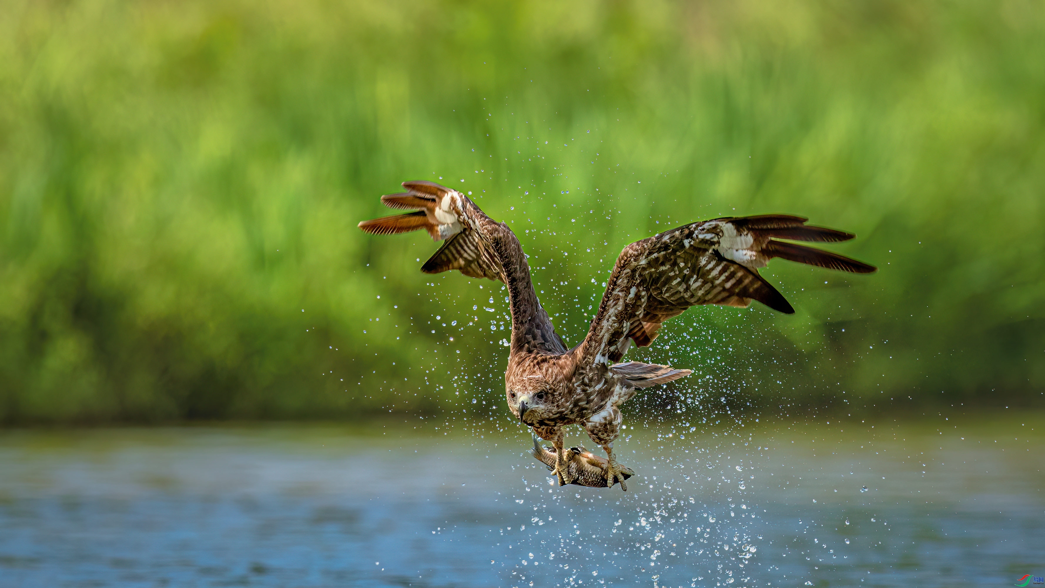 ��Ա�������� �ڶ�𰡷��һ��.jpg