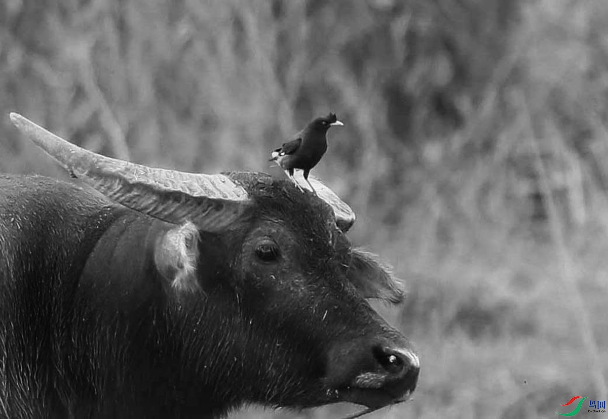 B83I9484 - ����.JPG