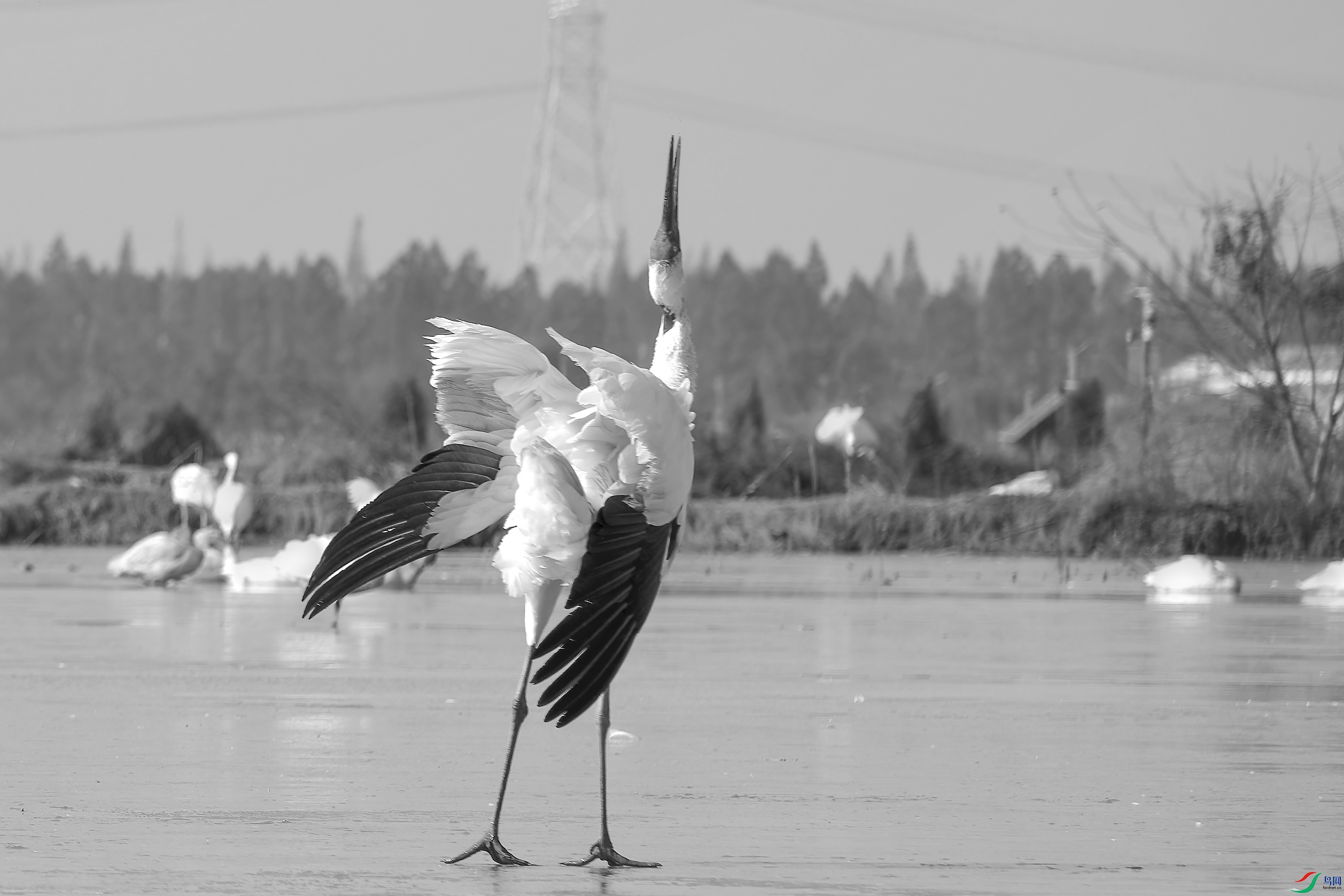 DSC_2116_DxO1.jpg