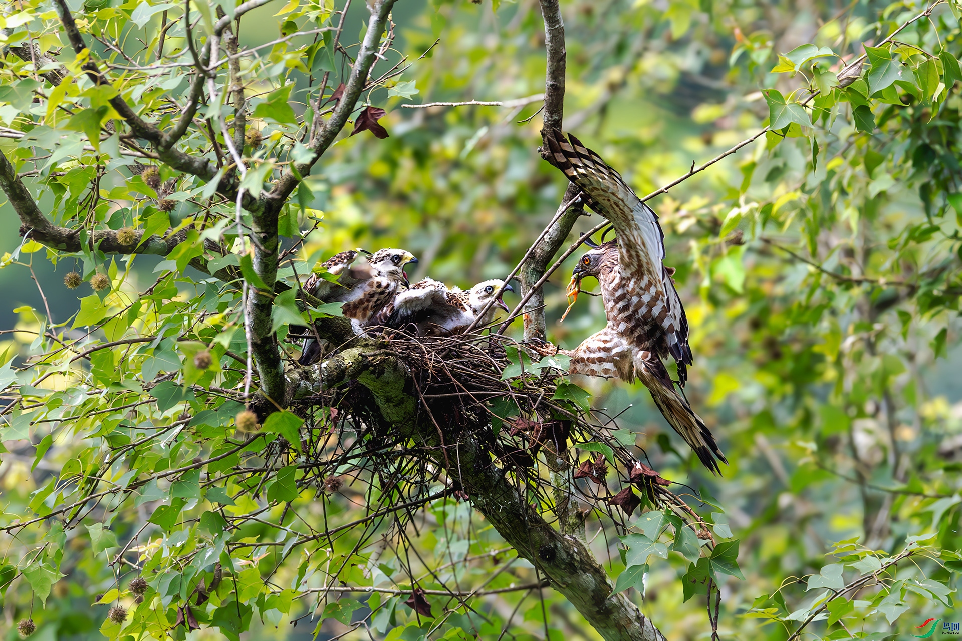 20240819�໴��� ����.jpg