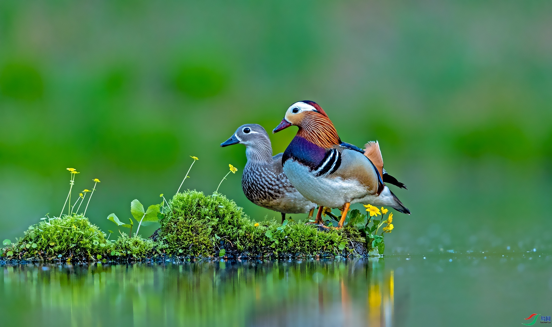 8.14���������ʦ��Ʒ   ��� ��ף���ٻ����������.jpg