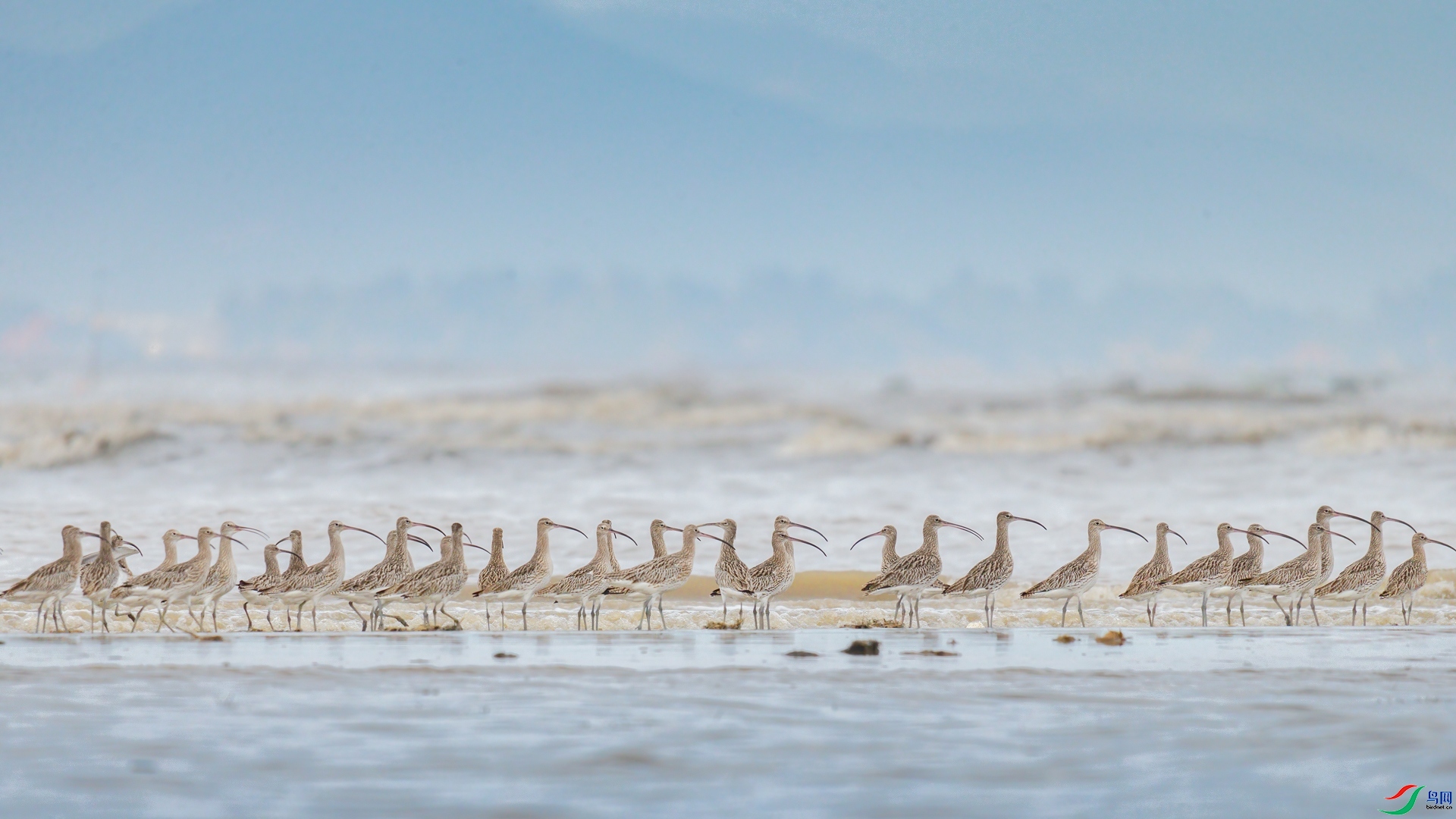 8.16������ѩ��ʦ��Ʒ   һ�𿴴� ��ף���ٻ���Ӱʦ������.jpg